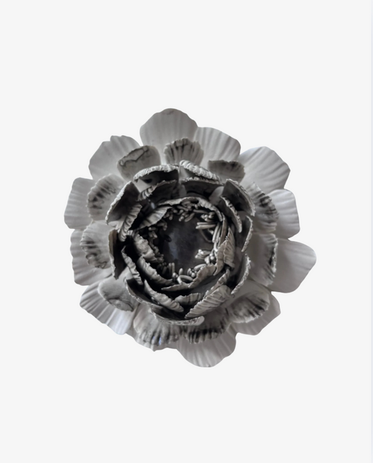 Can this be a peony? Small Wall art
