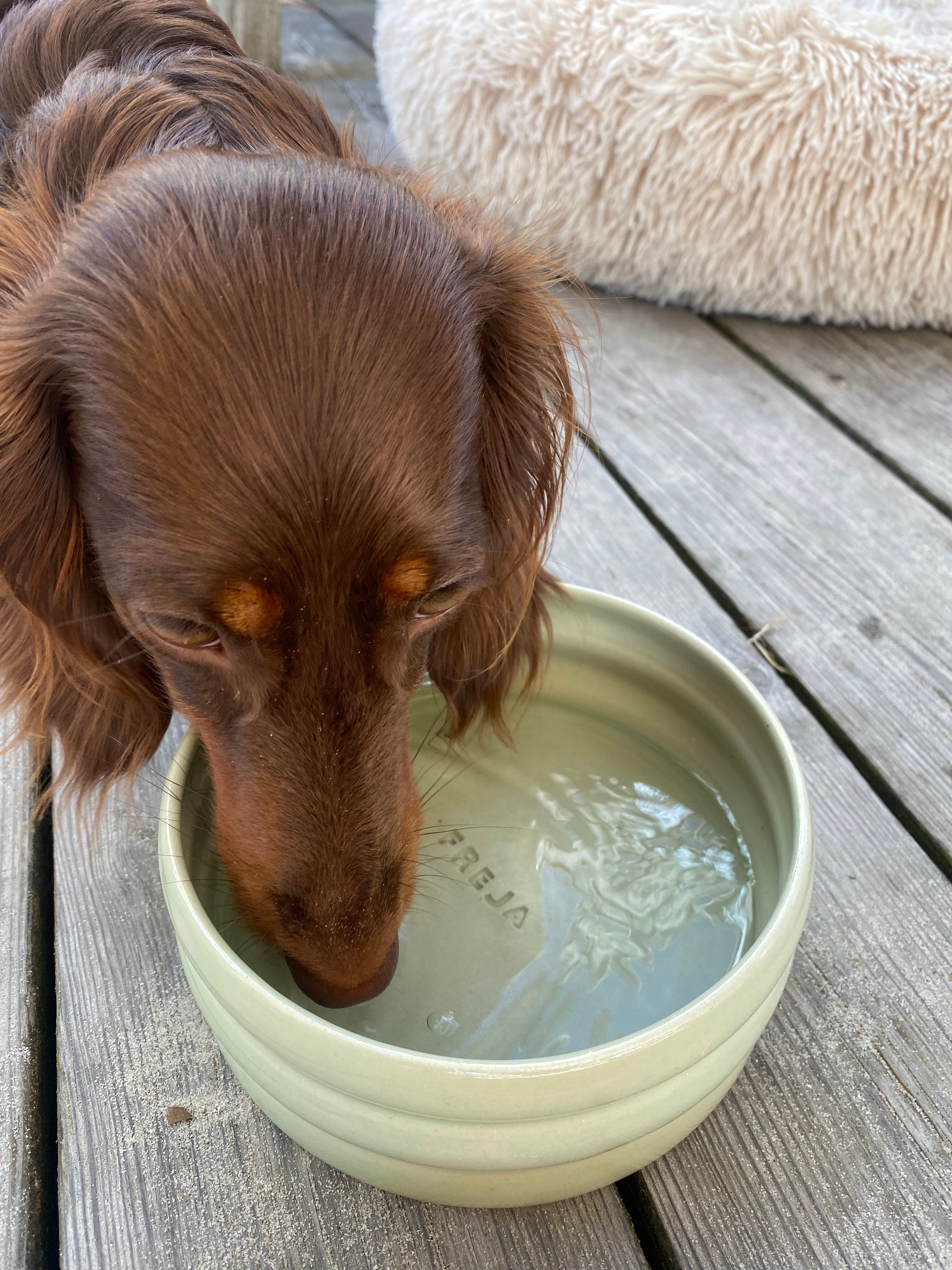 Dog Bowl Pistachio by Labbet Ceramics Cay Collective