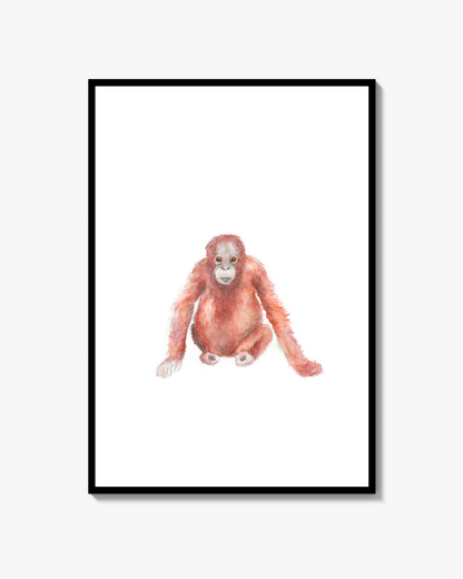 Orangutang akvarel Poster