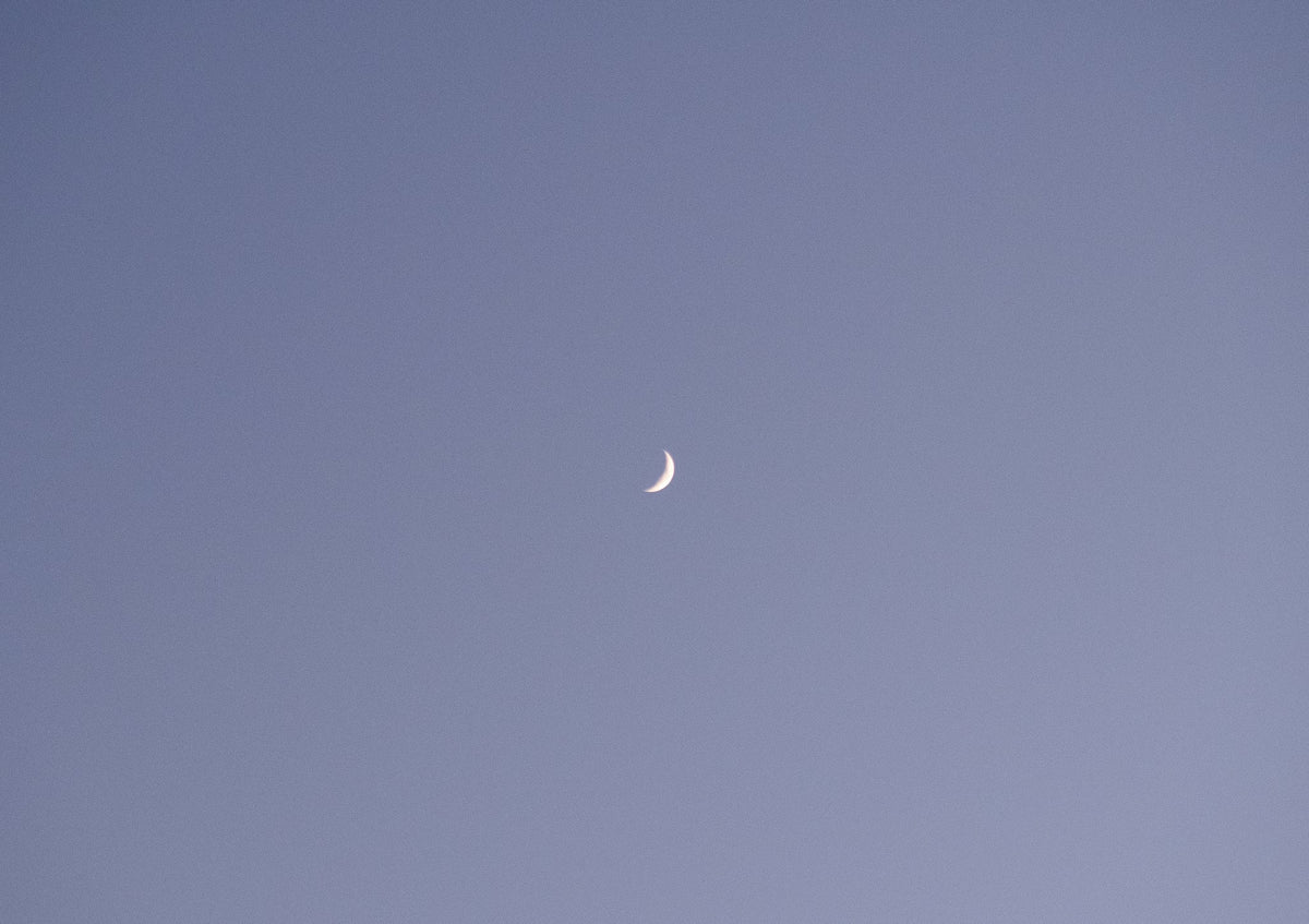 Image at position 2