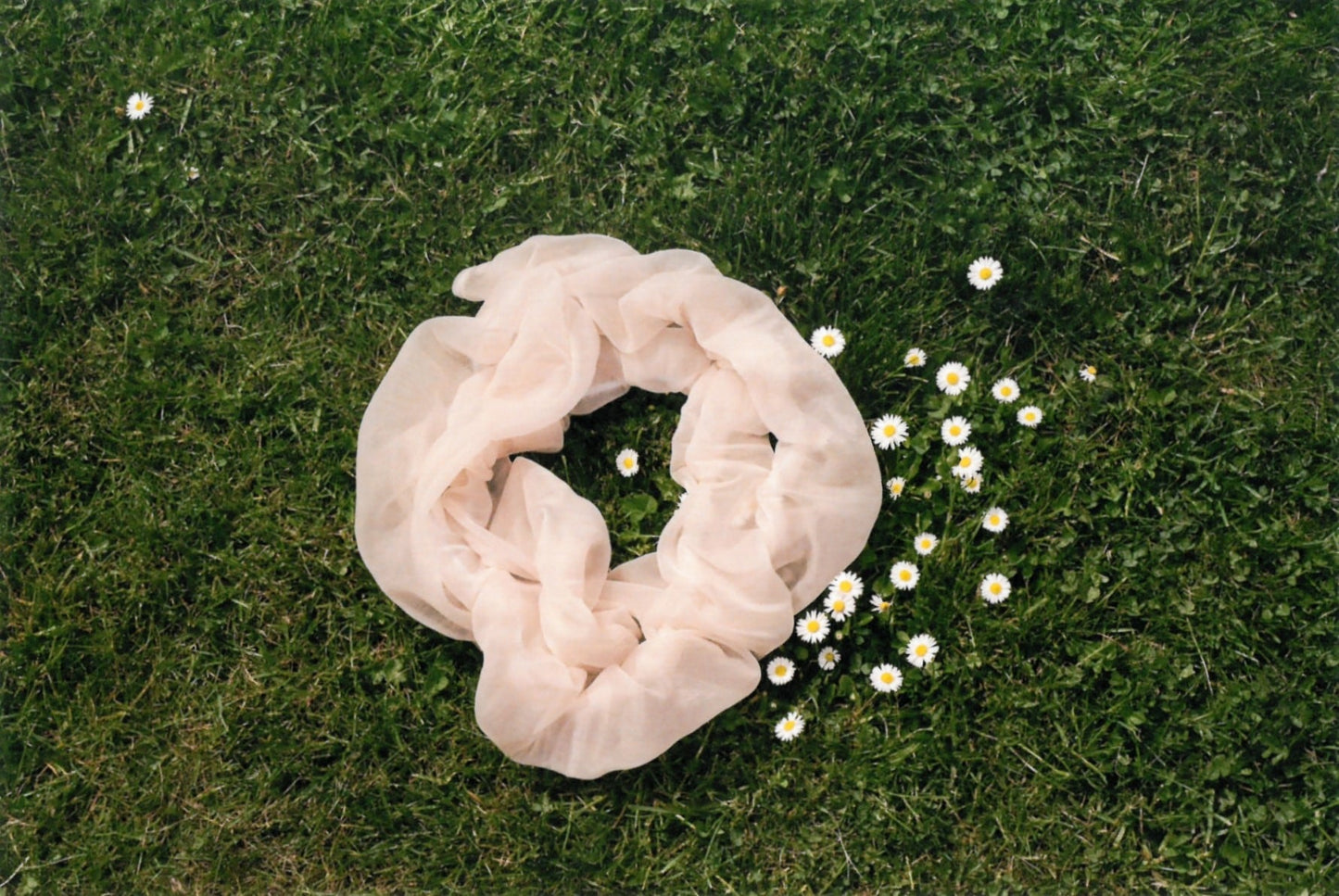 Image at position 1