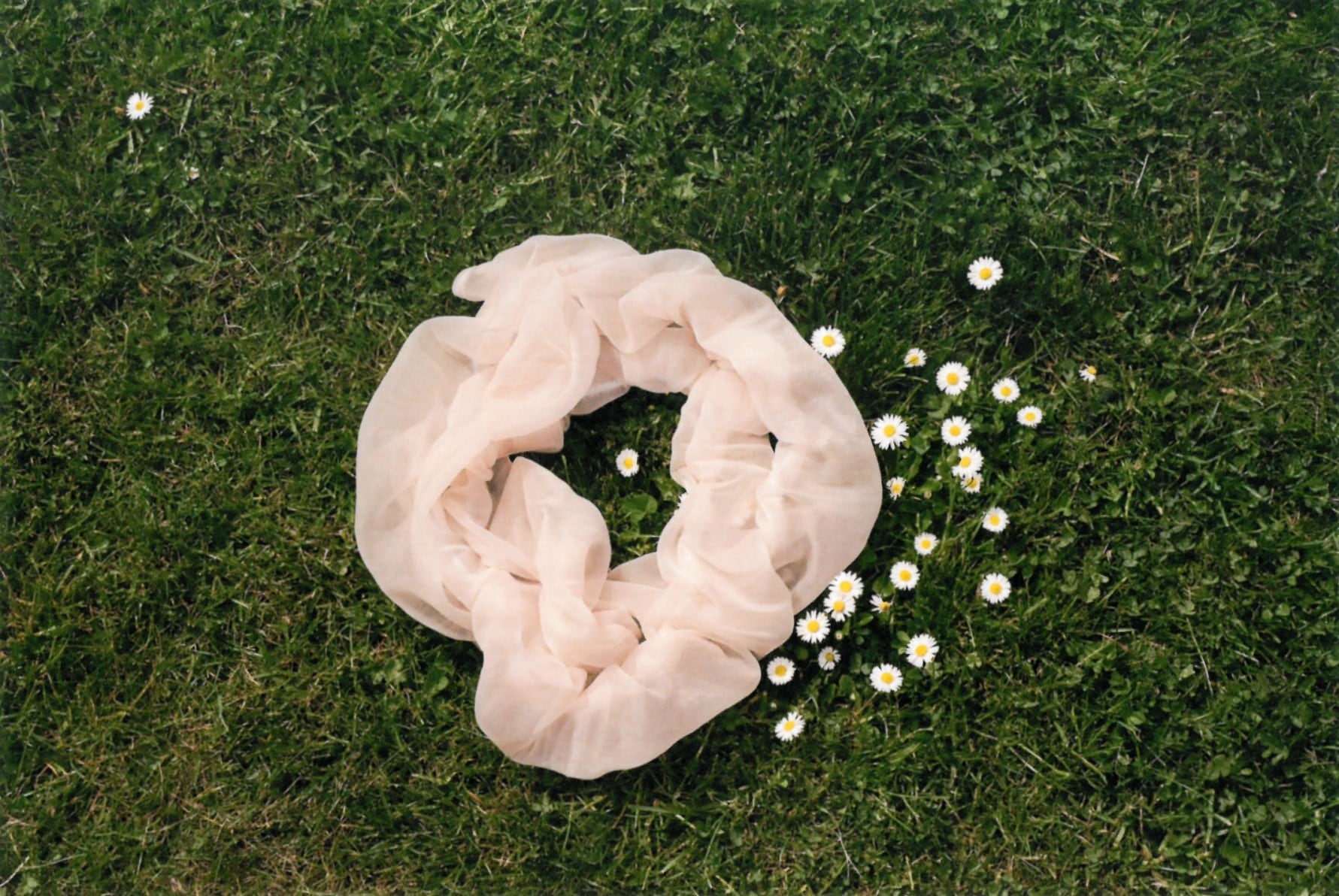 Image at position 1