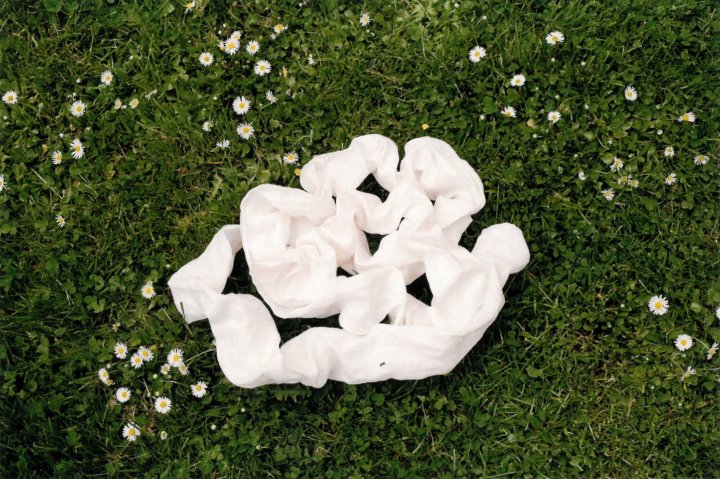 Image at position 1
