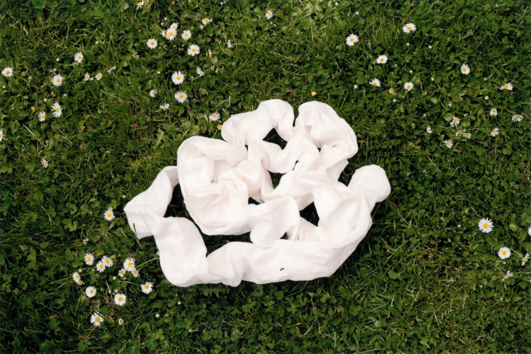 Image at position 1