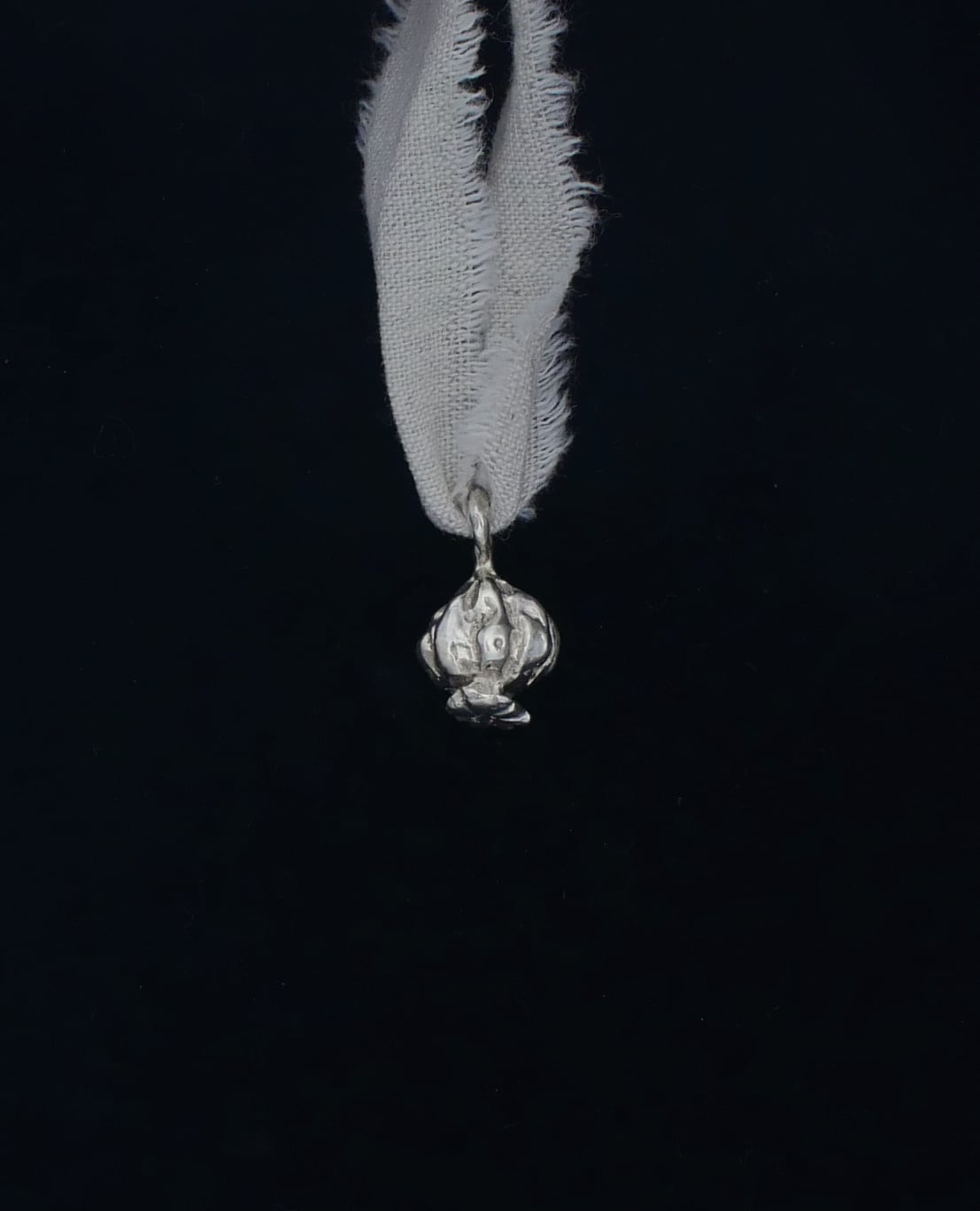 Image at position 1