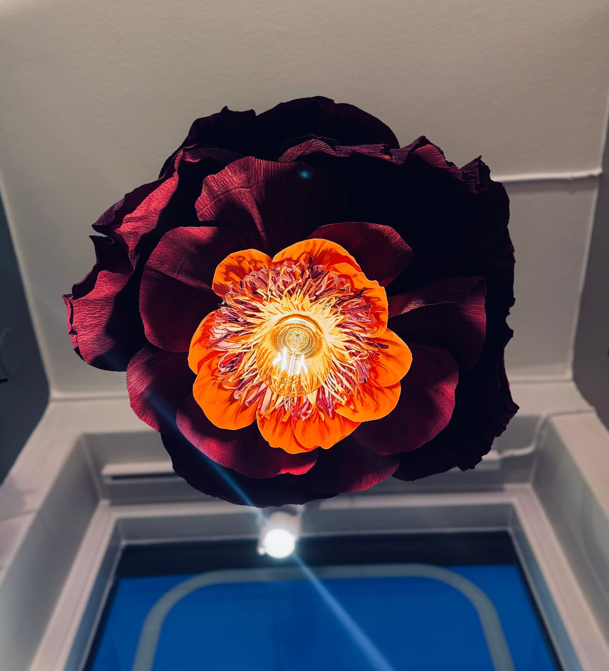 Image at position 1