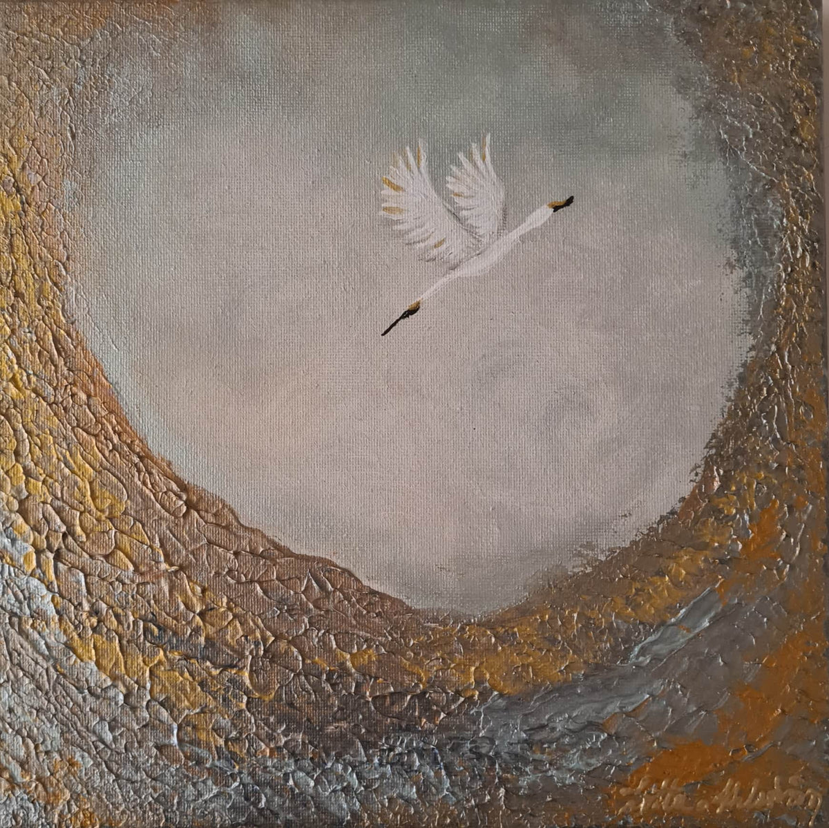Image at position 1
