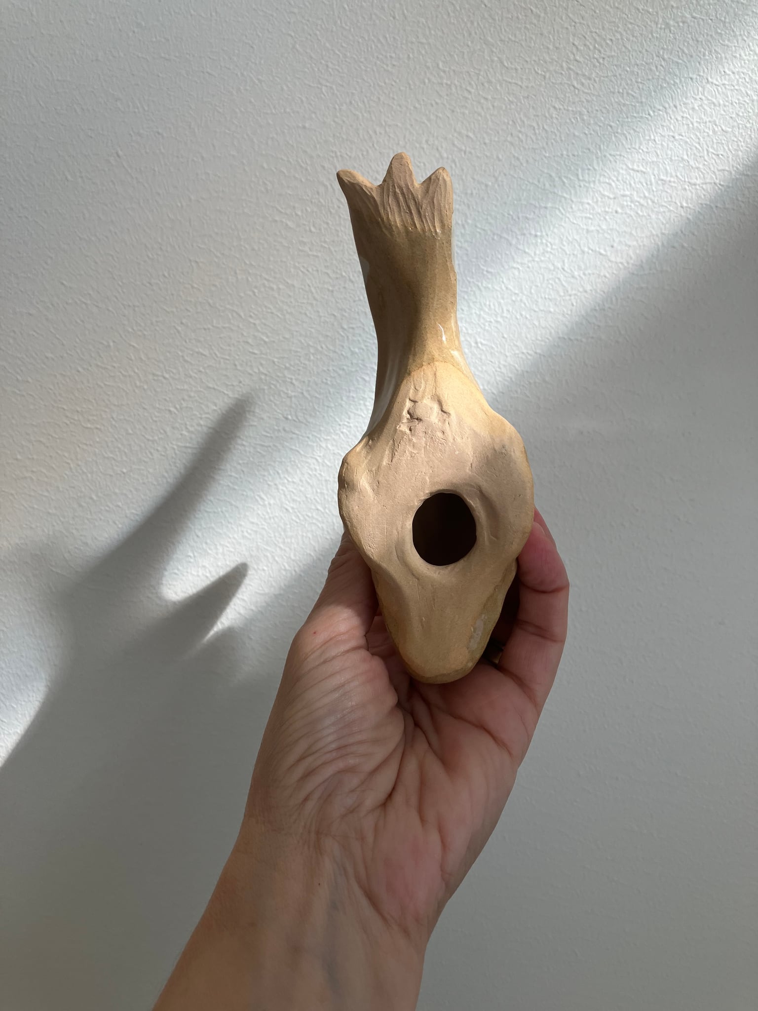 Image at position 6