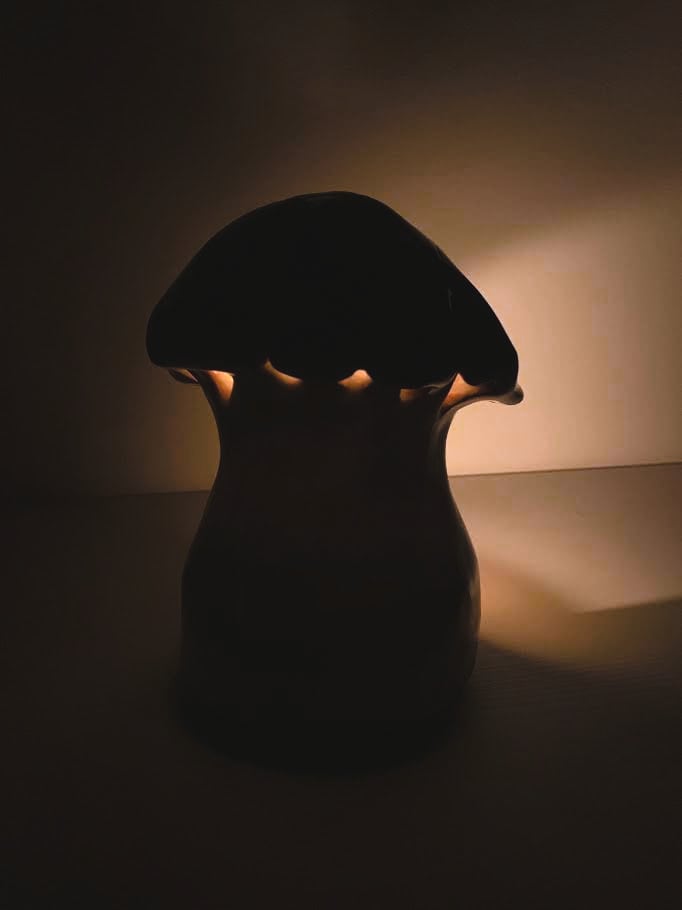 Image at position 5