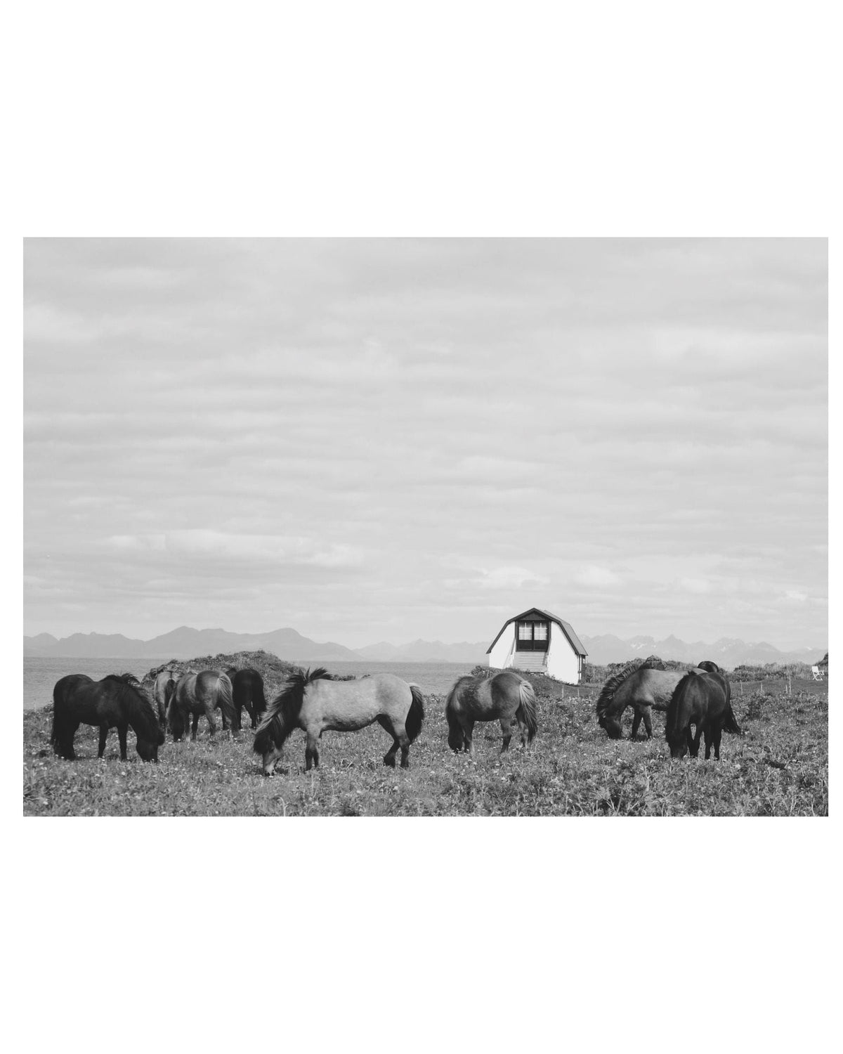 Image at position 1