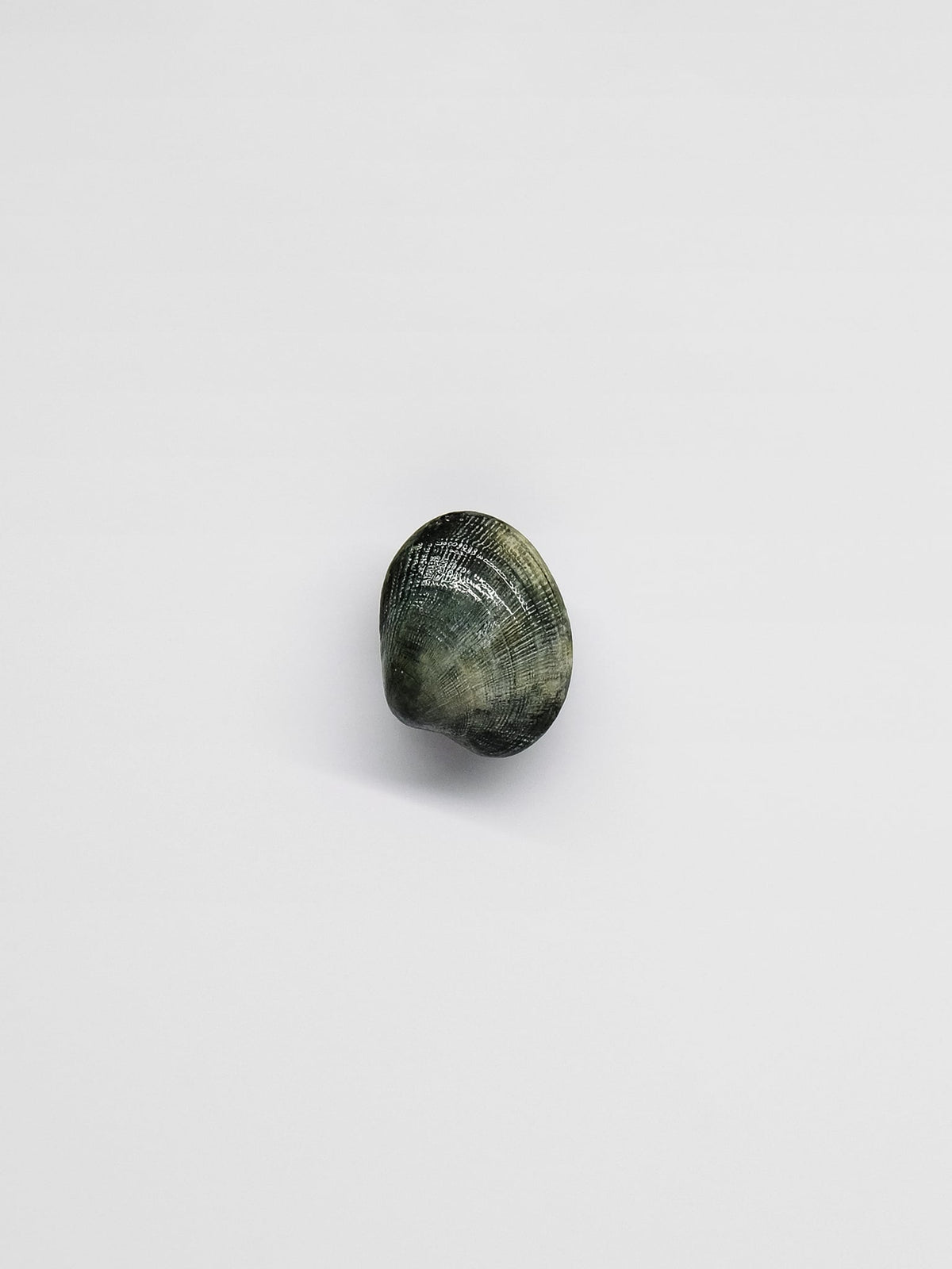 Image at position 1