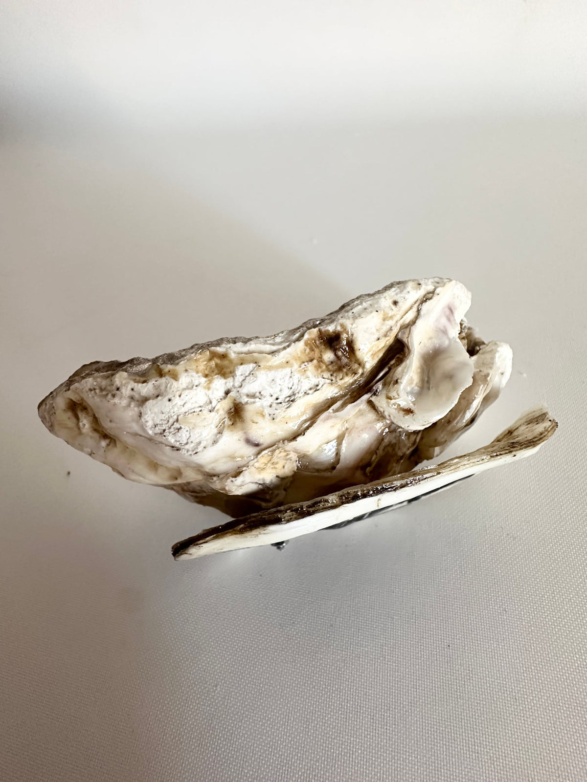 Image at position 6