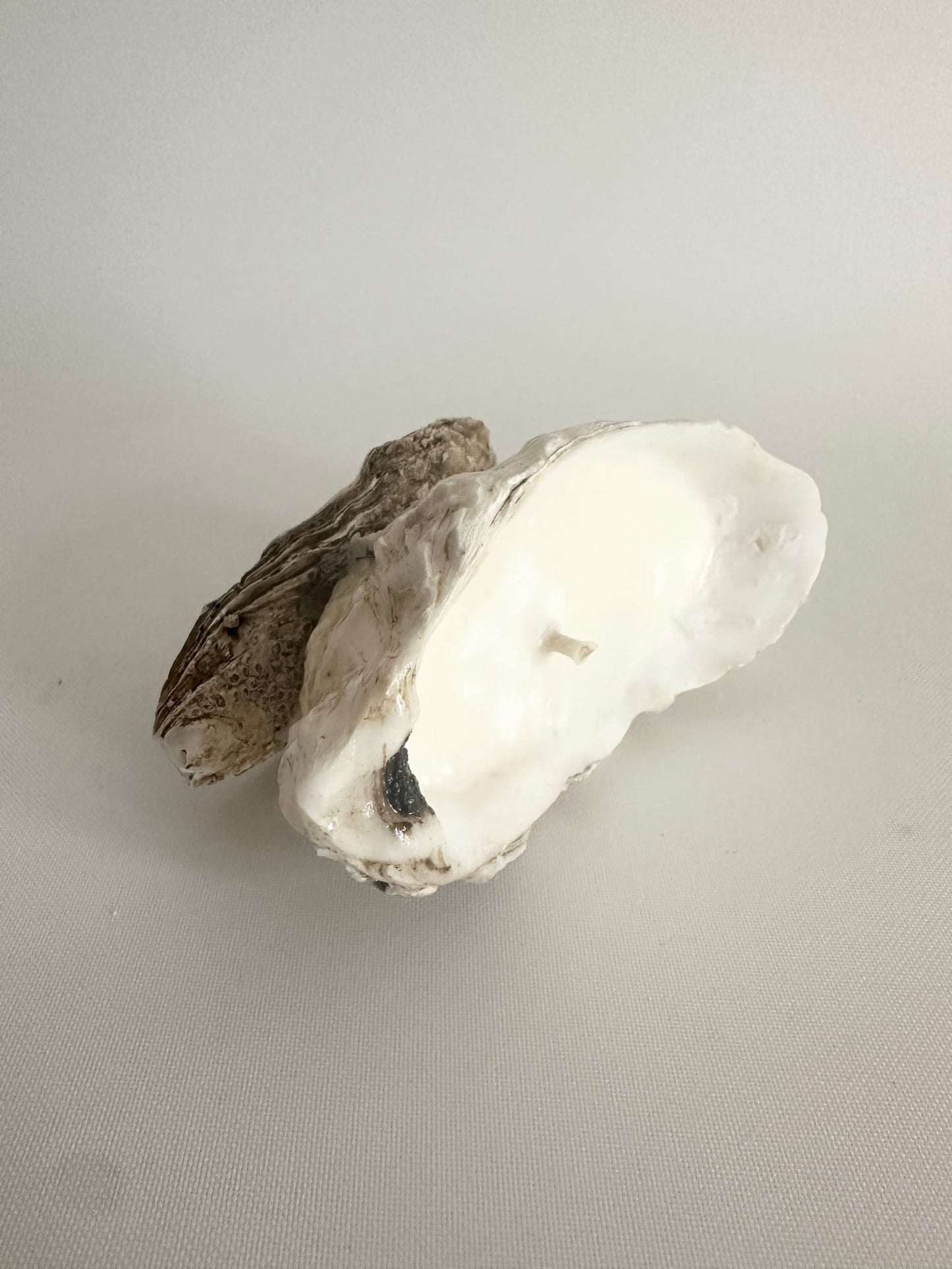 Image at position 4