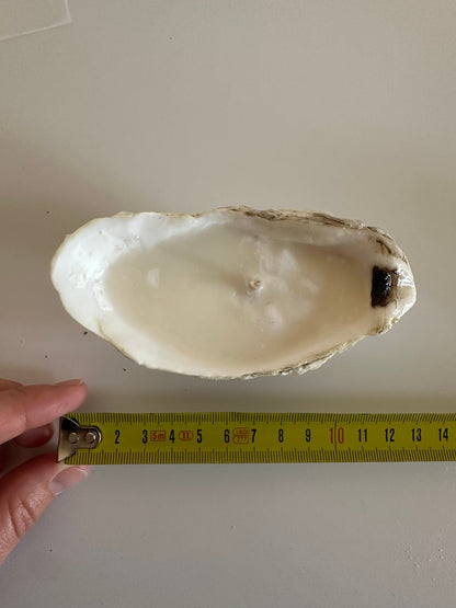 Image at position 1