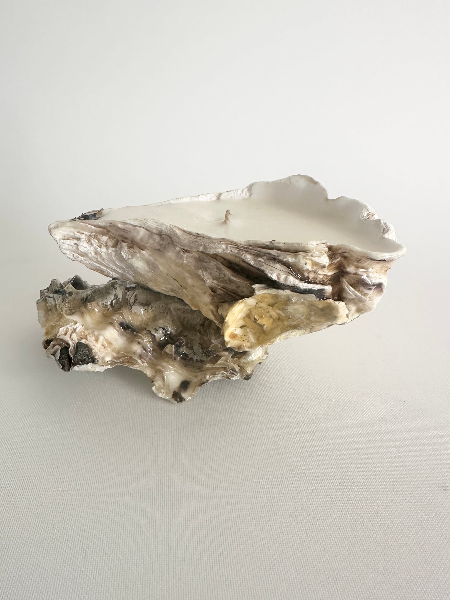 Image at position 1
