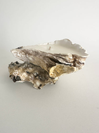 Image at position 1
