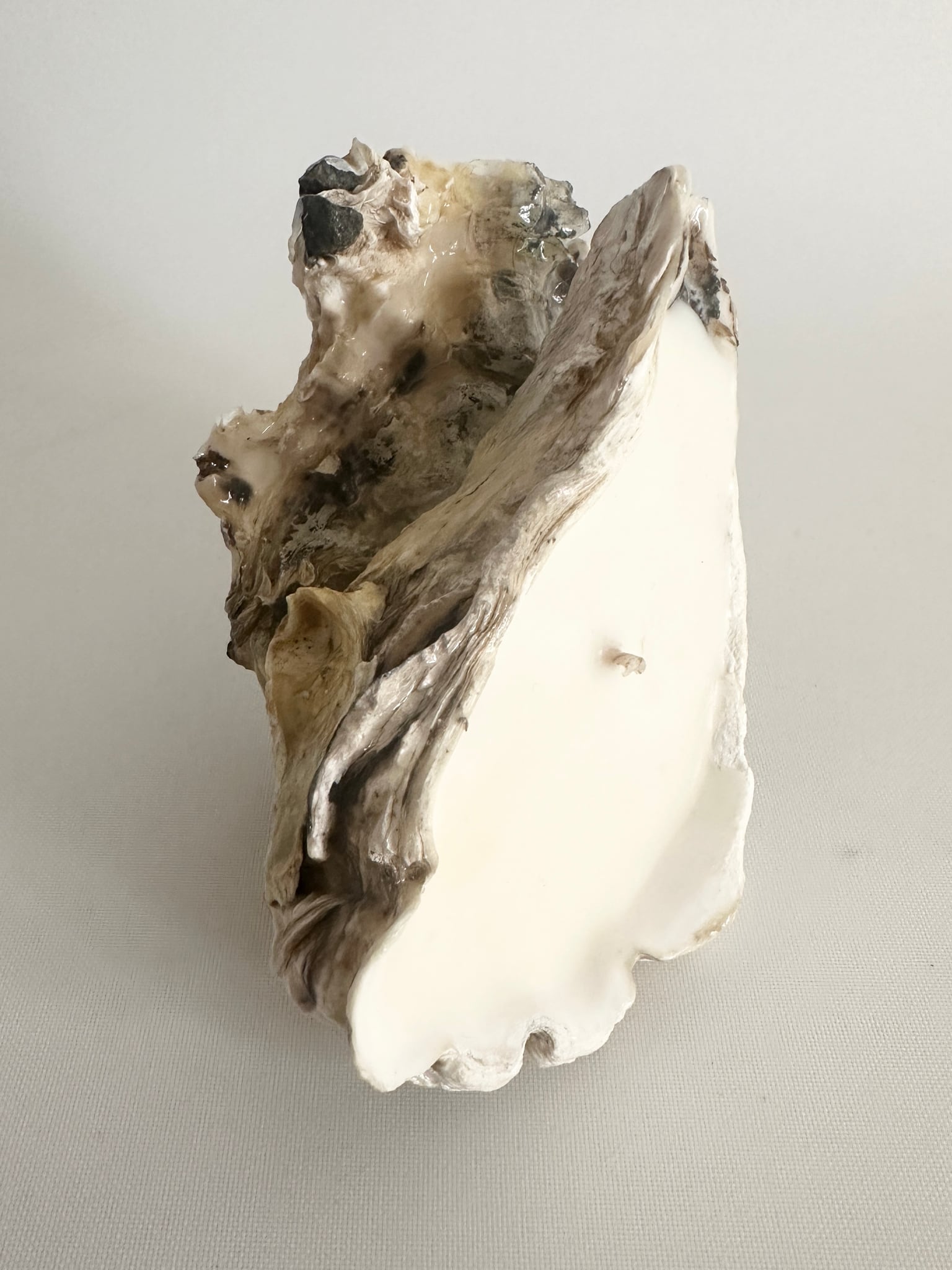 Image at position 3