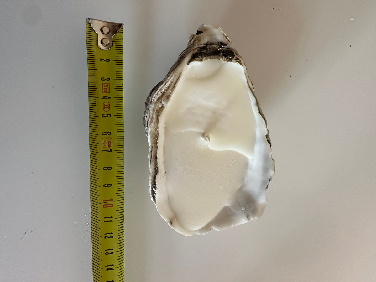 Image at position 1