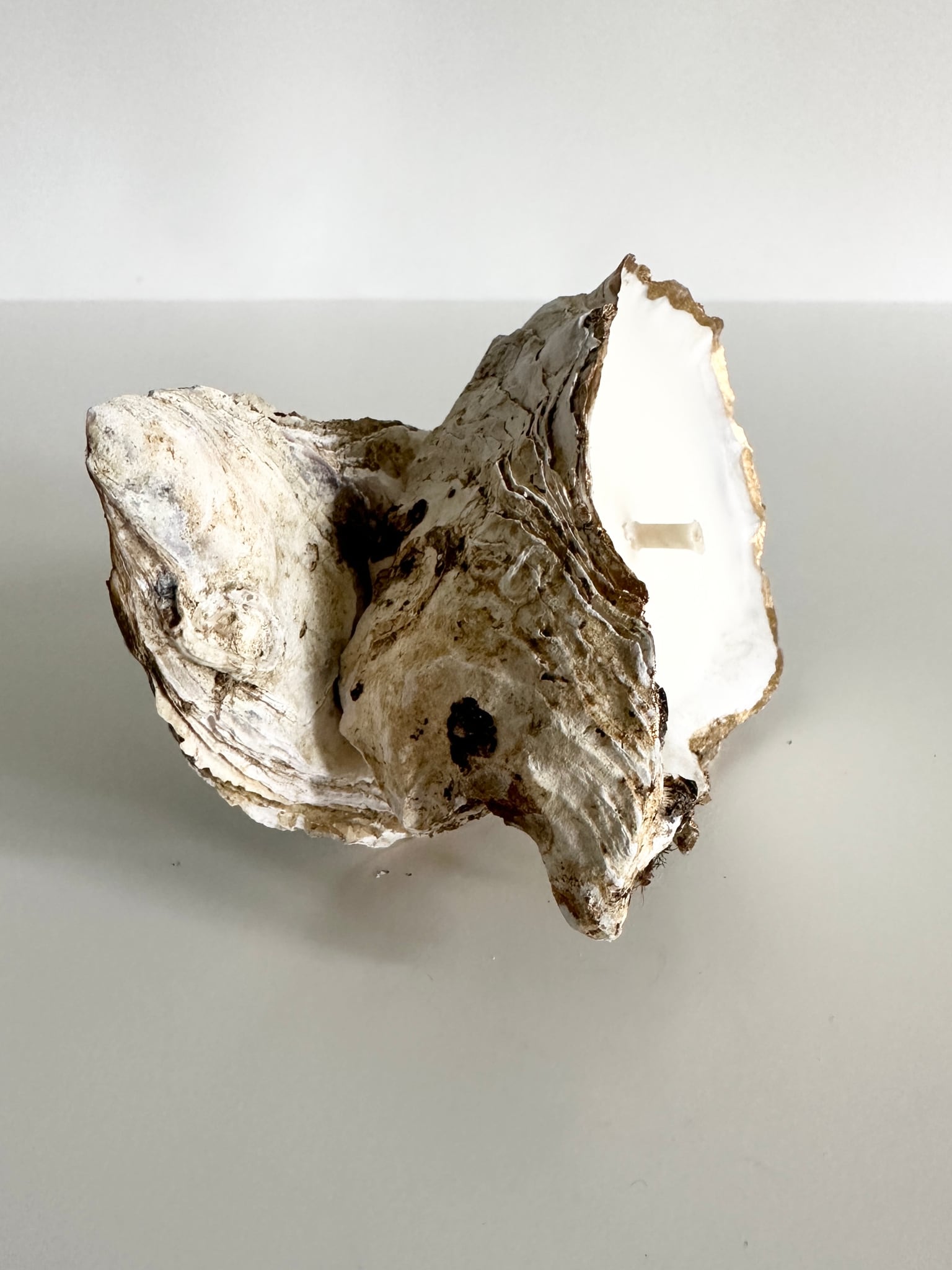 Image at position 4
