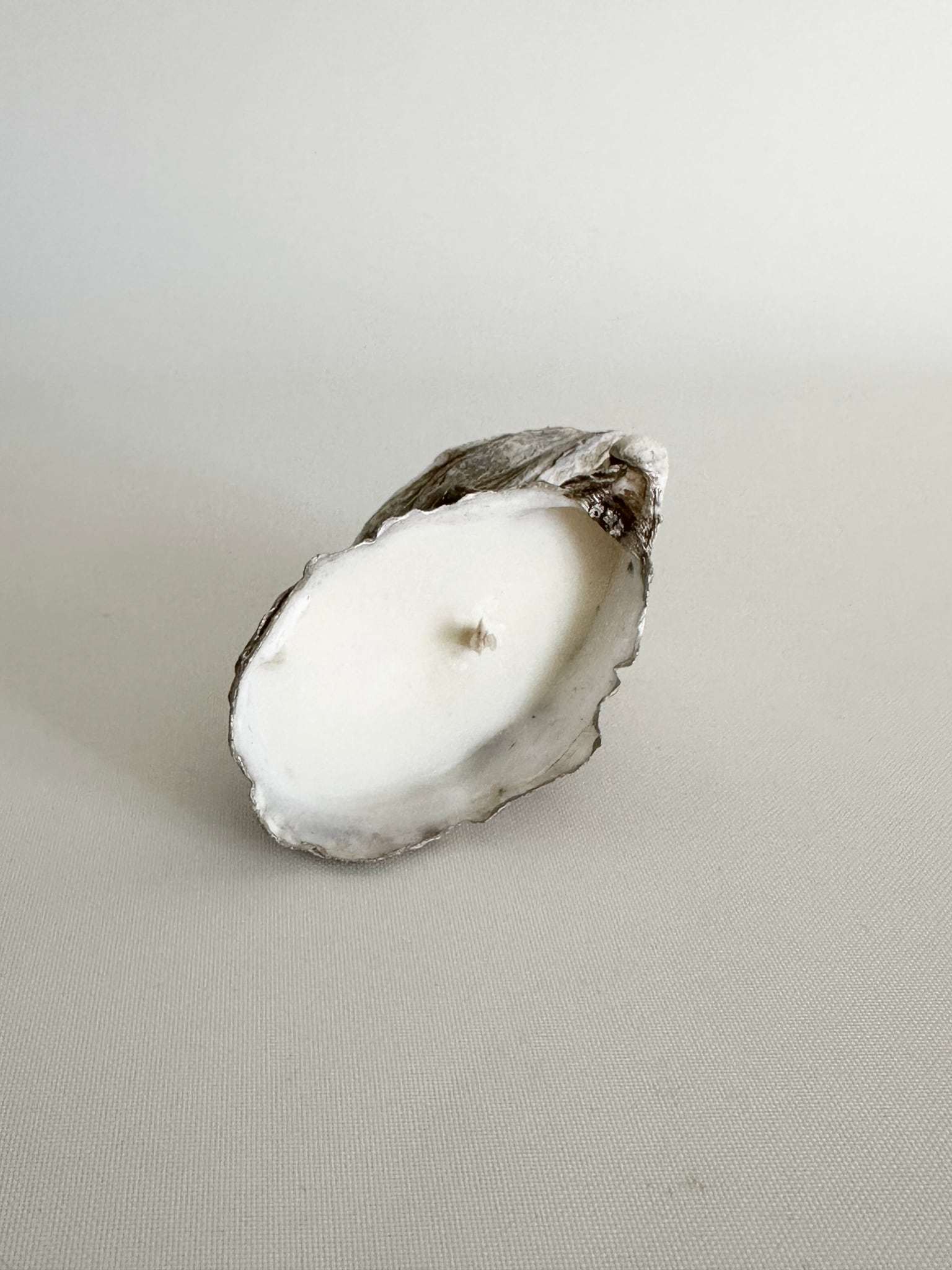 Image at position 6