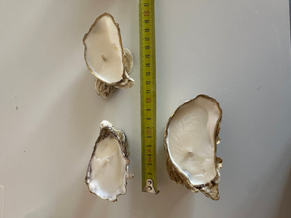 Image at position 1