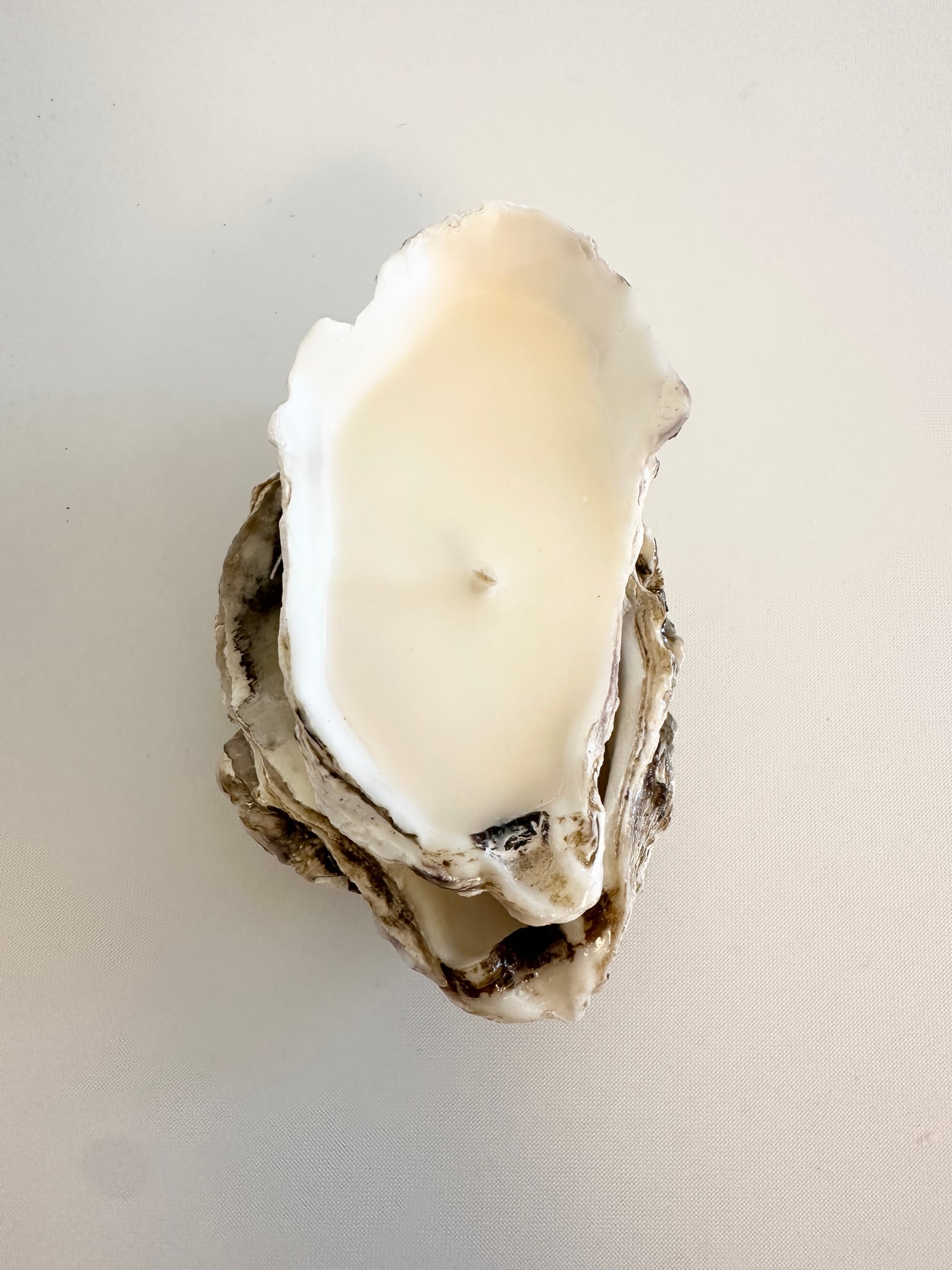 Image at position 1