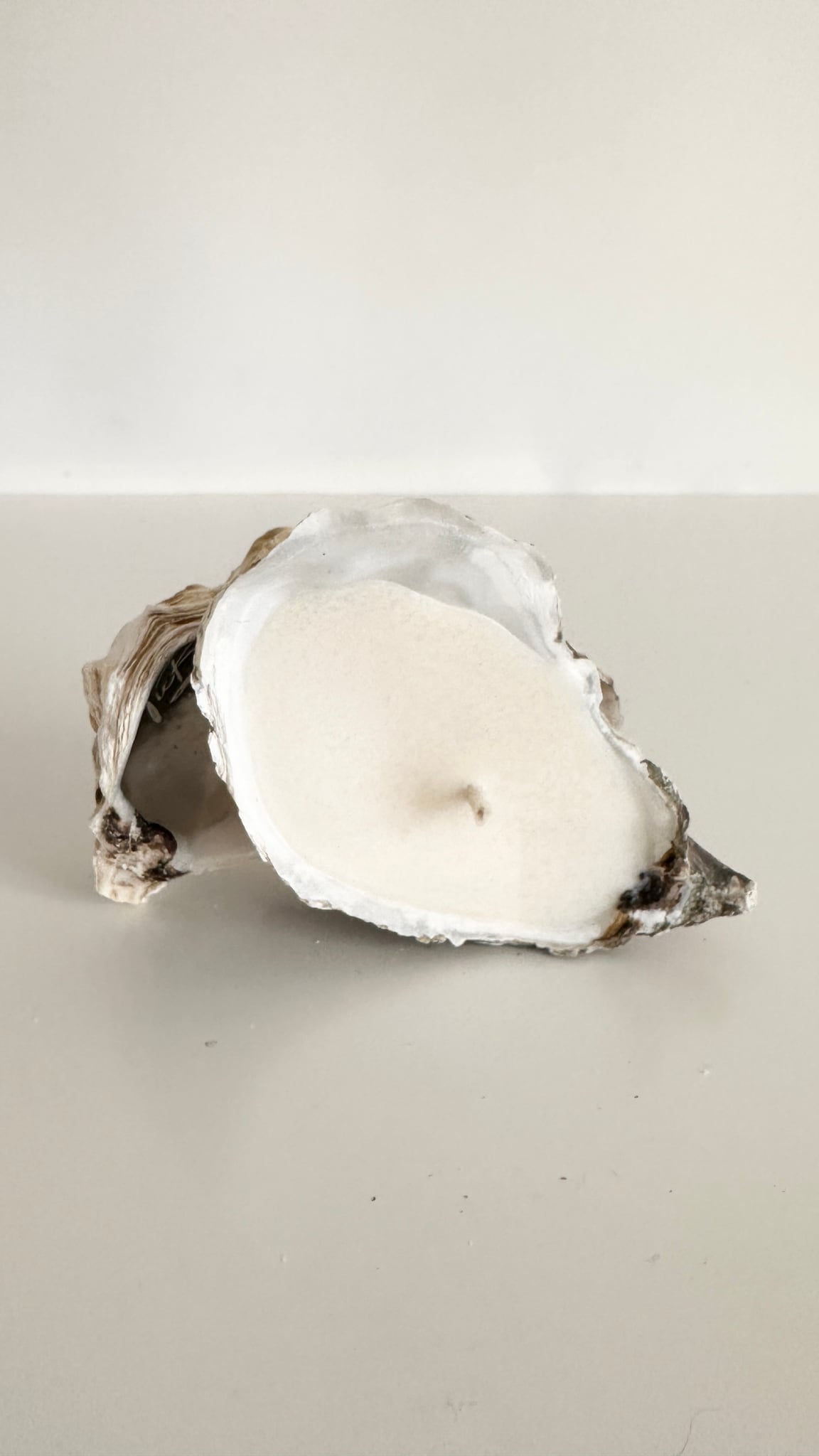 Image at position 4