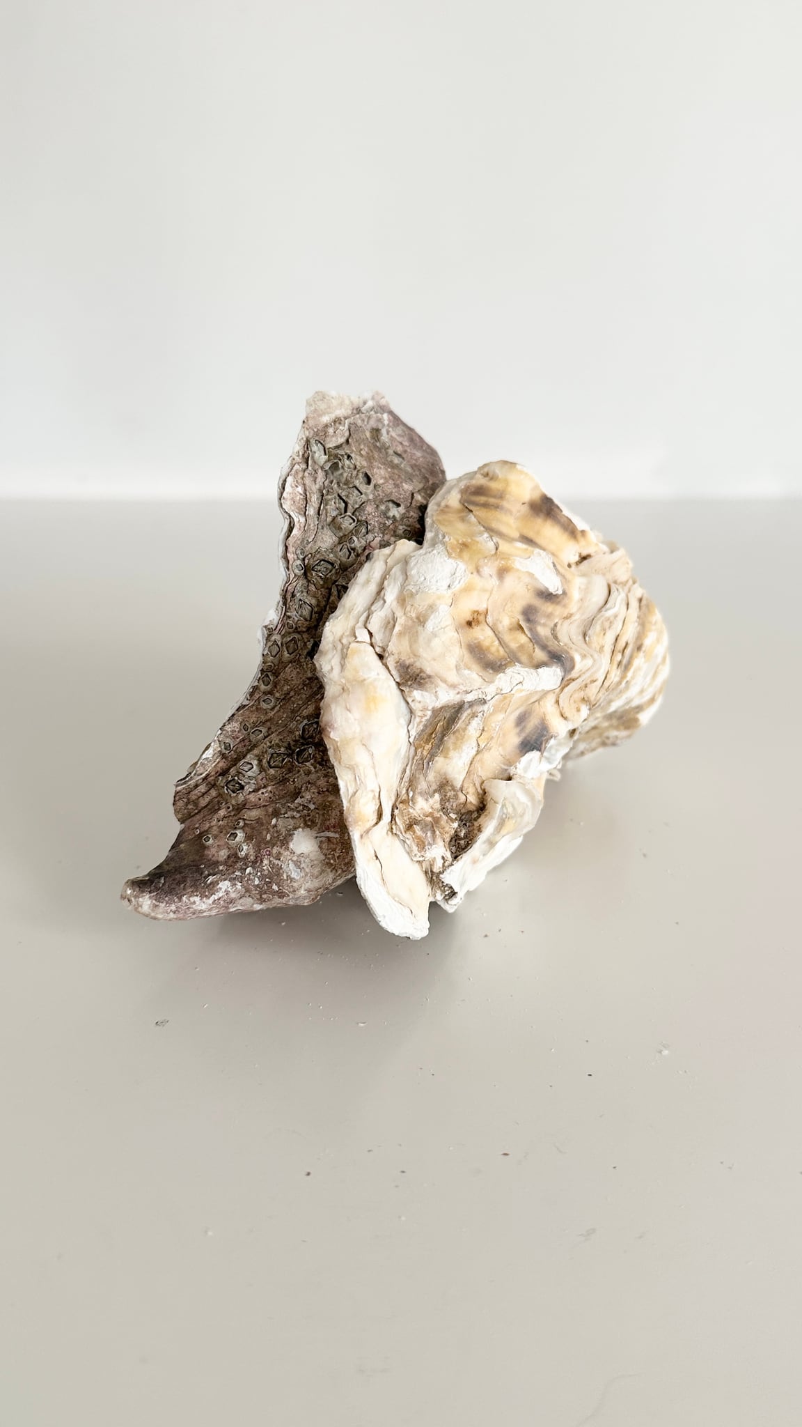 Image at position 6