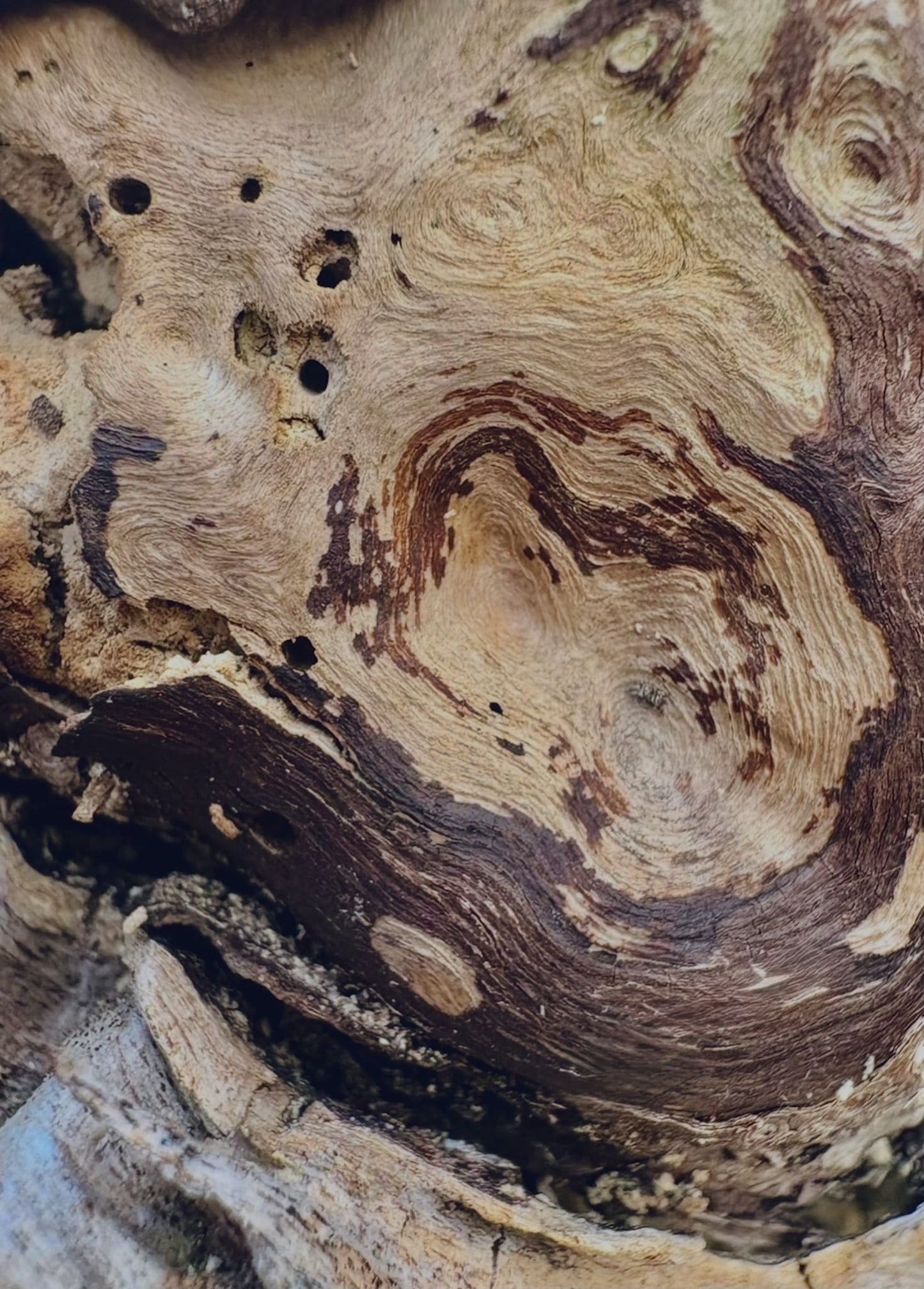 Image at position 6