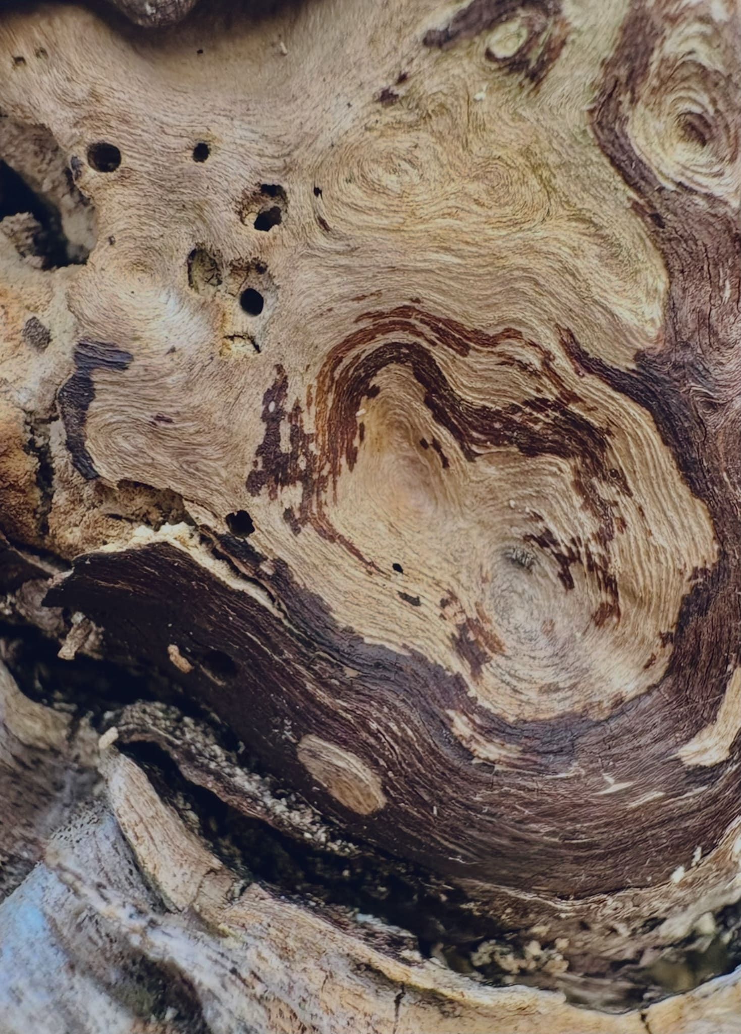 Image at position 6