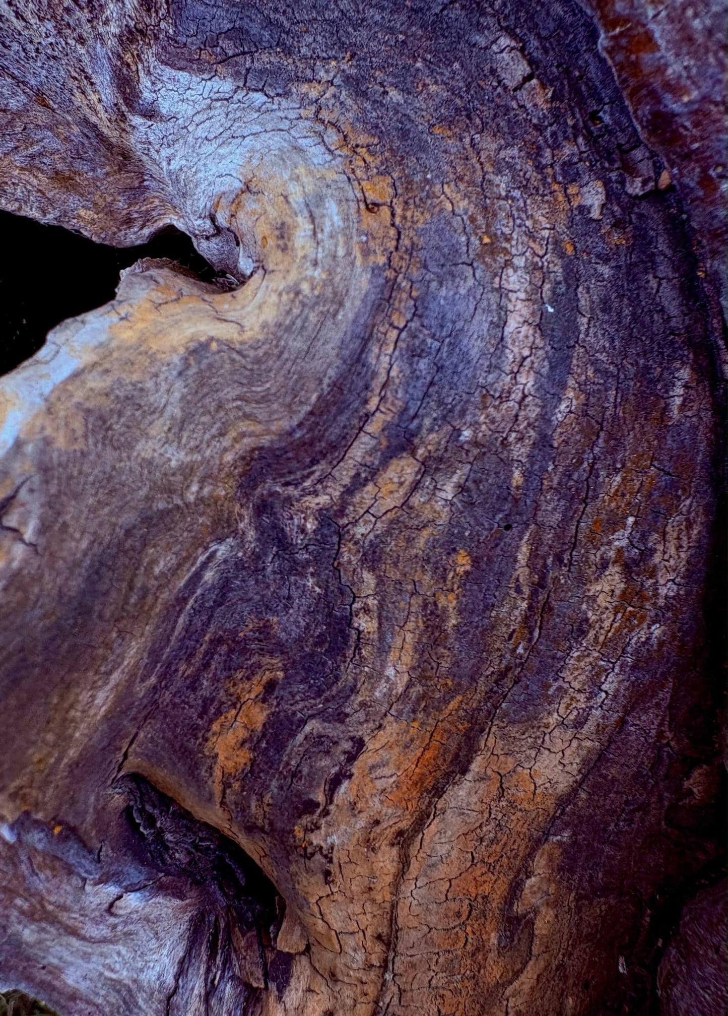 Image at position 6