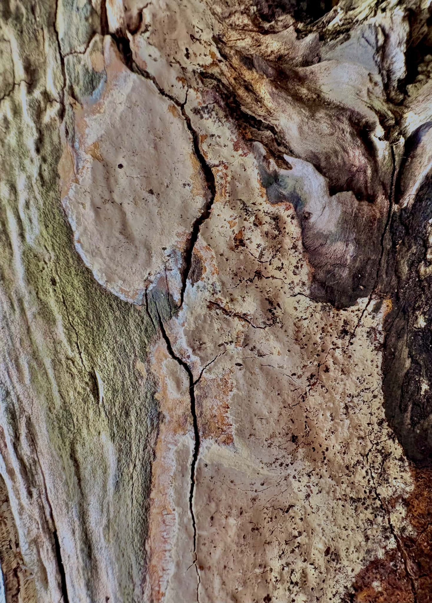 Image at position 6