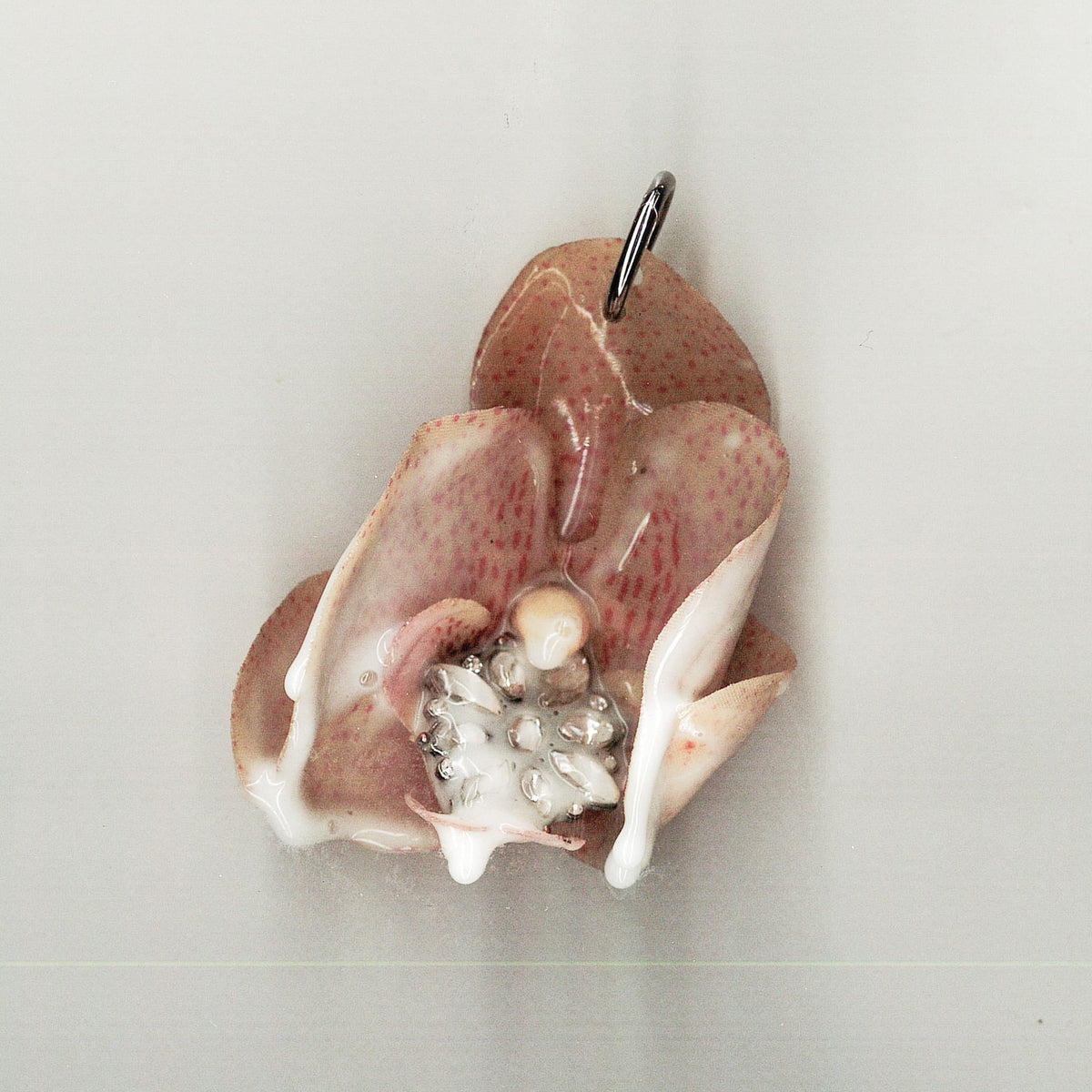 Image at position 2