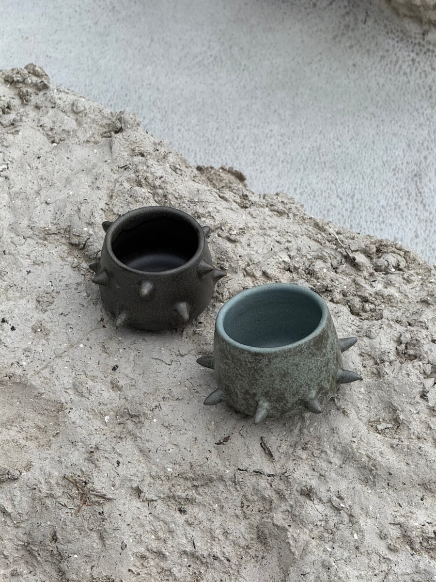 Image at position 4