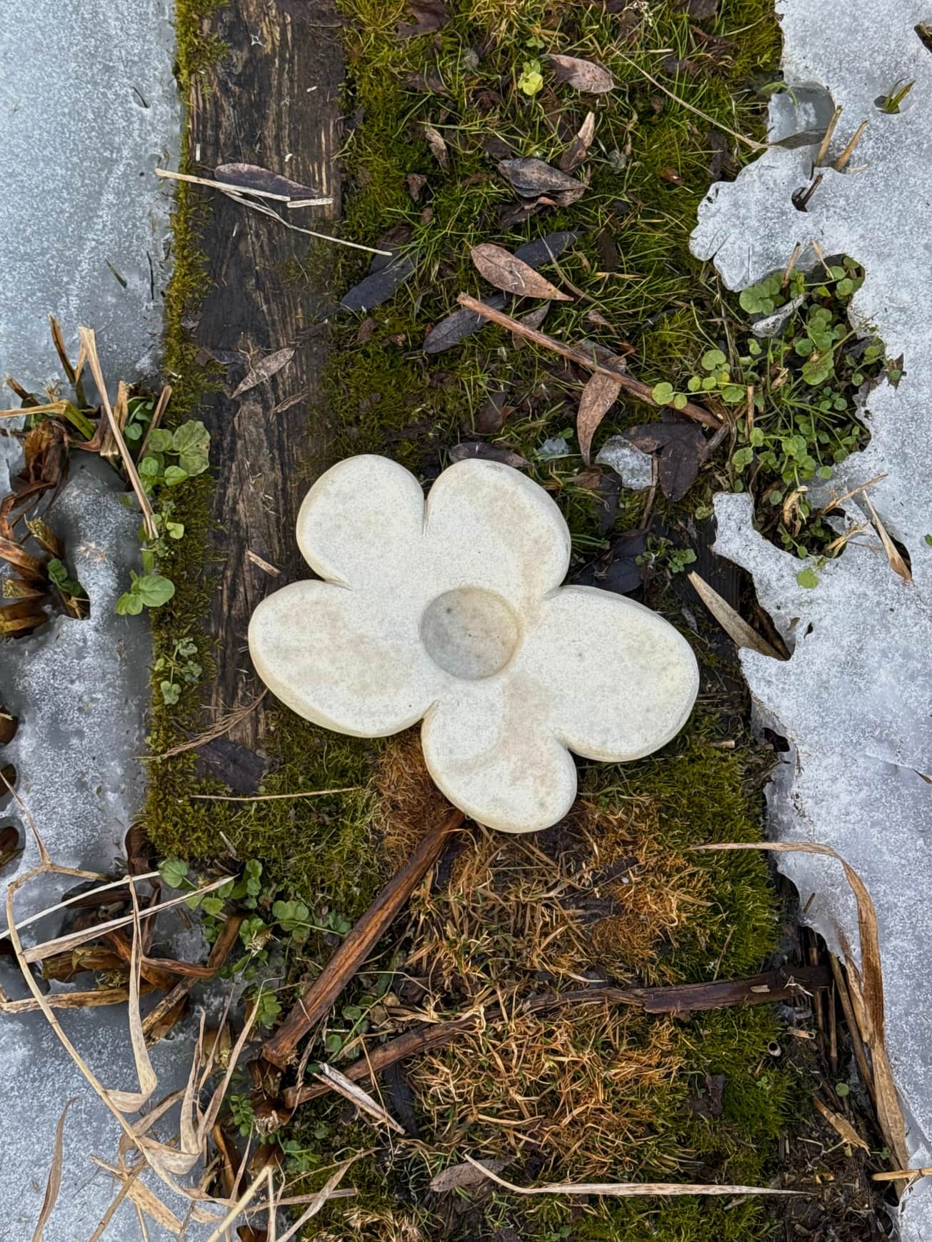 Image at position 1