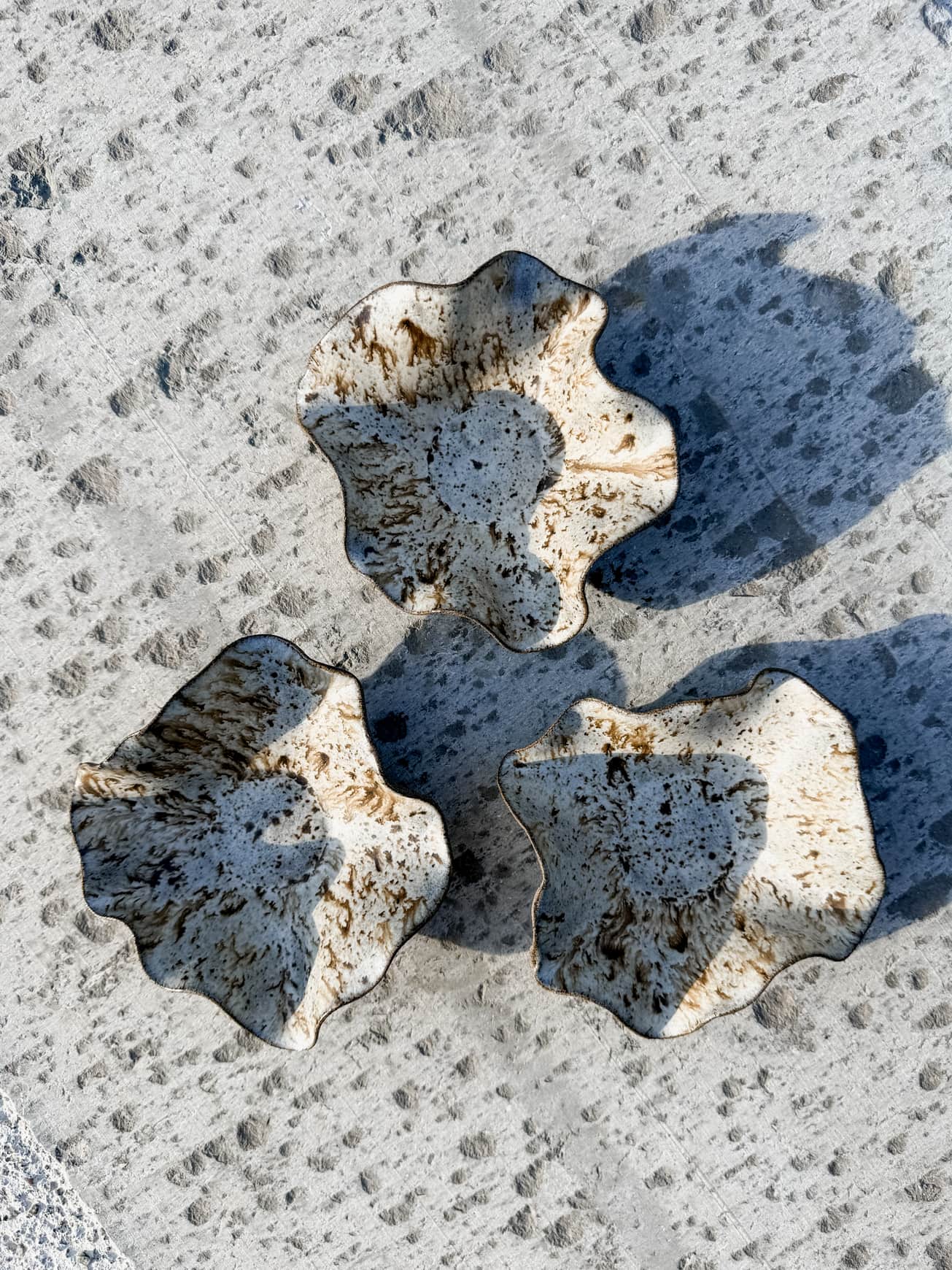 Image at position 4
