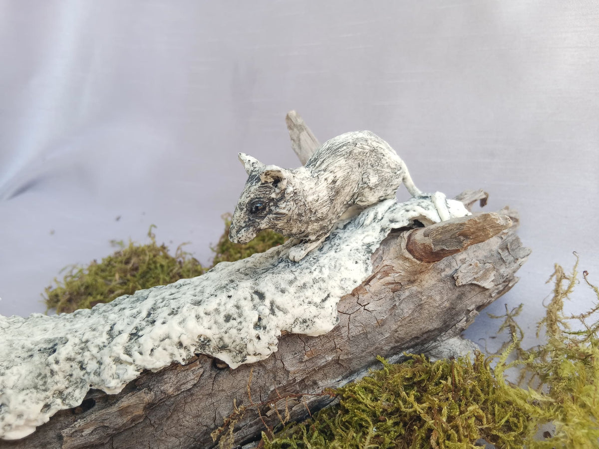 Image at position 5