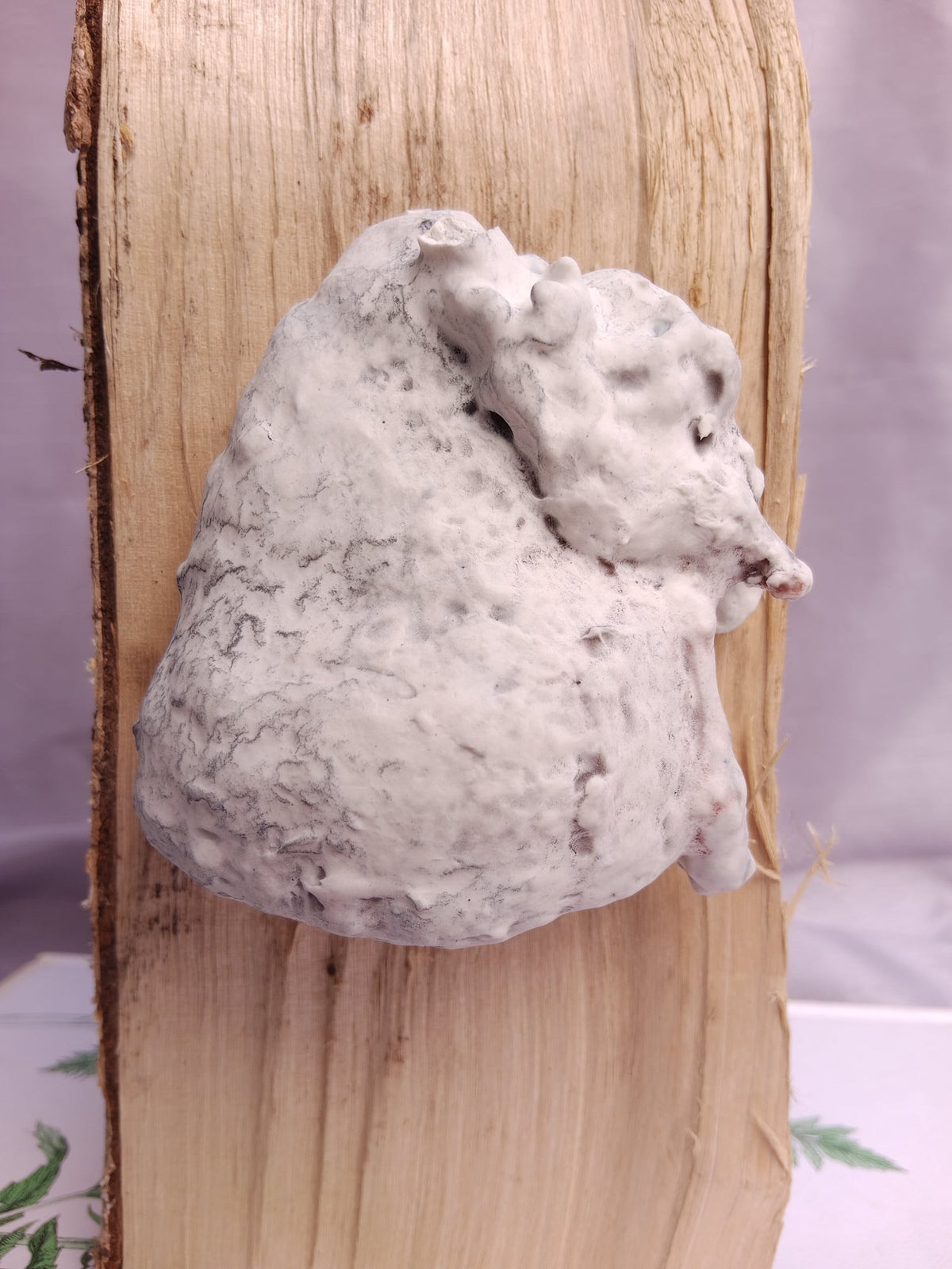 Image at position 1