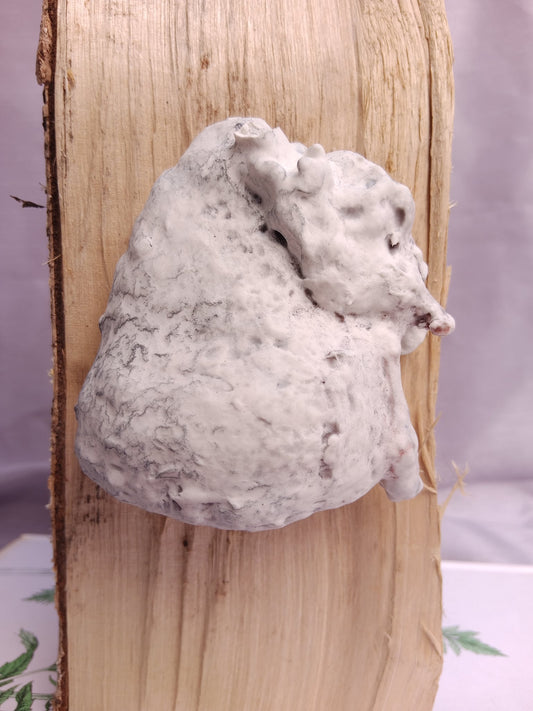 Image at position 1