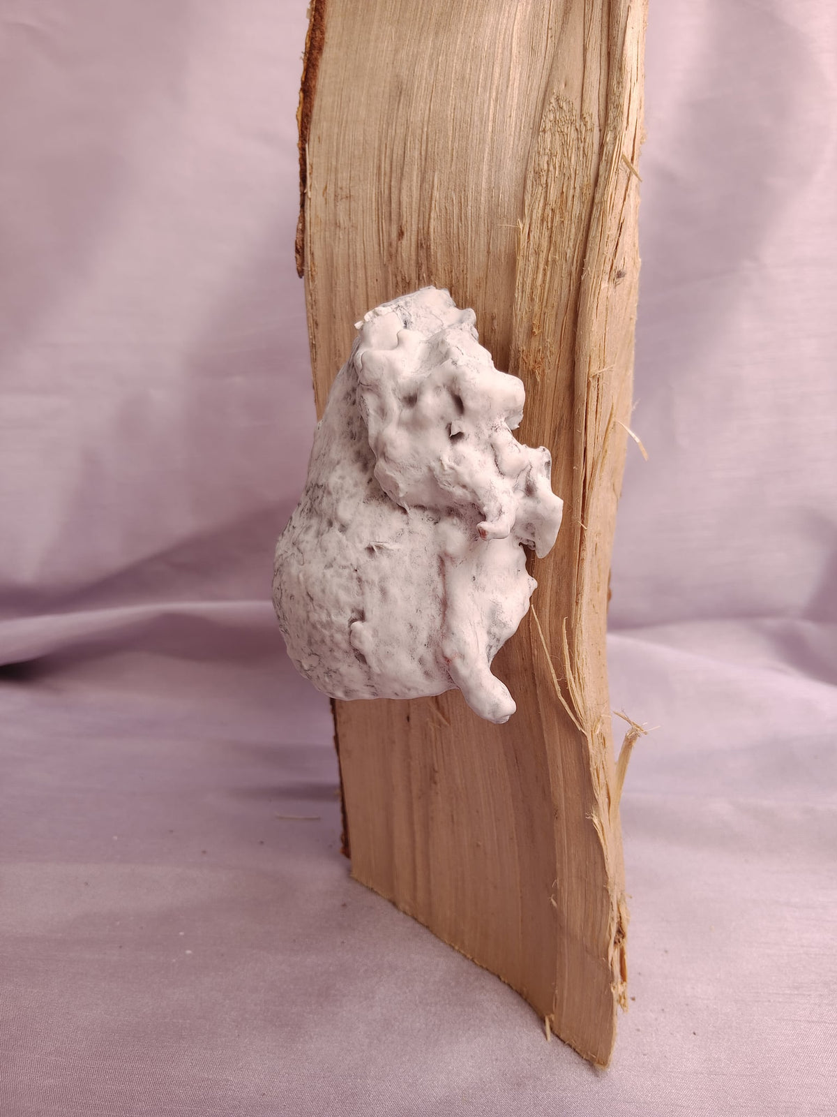 Image at position 3