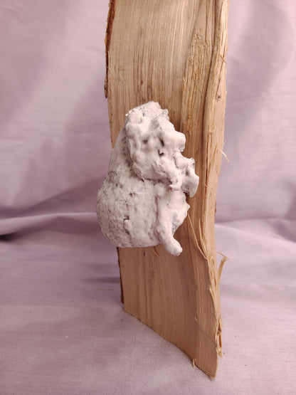 Image at position 3