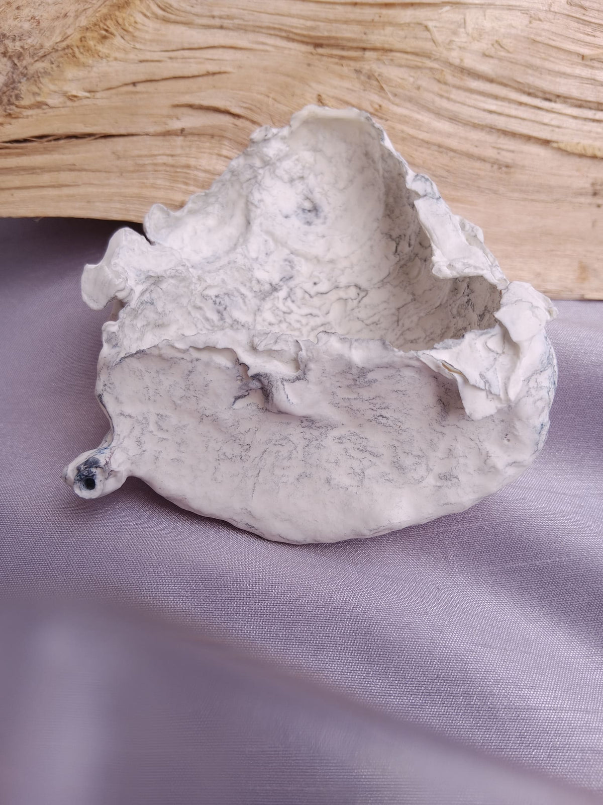 Image at position 5