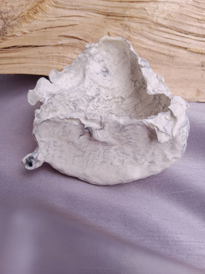 Image at position 5
