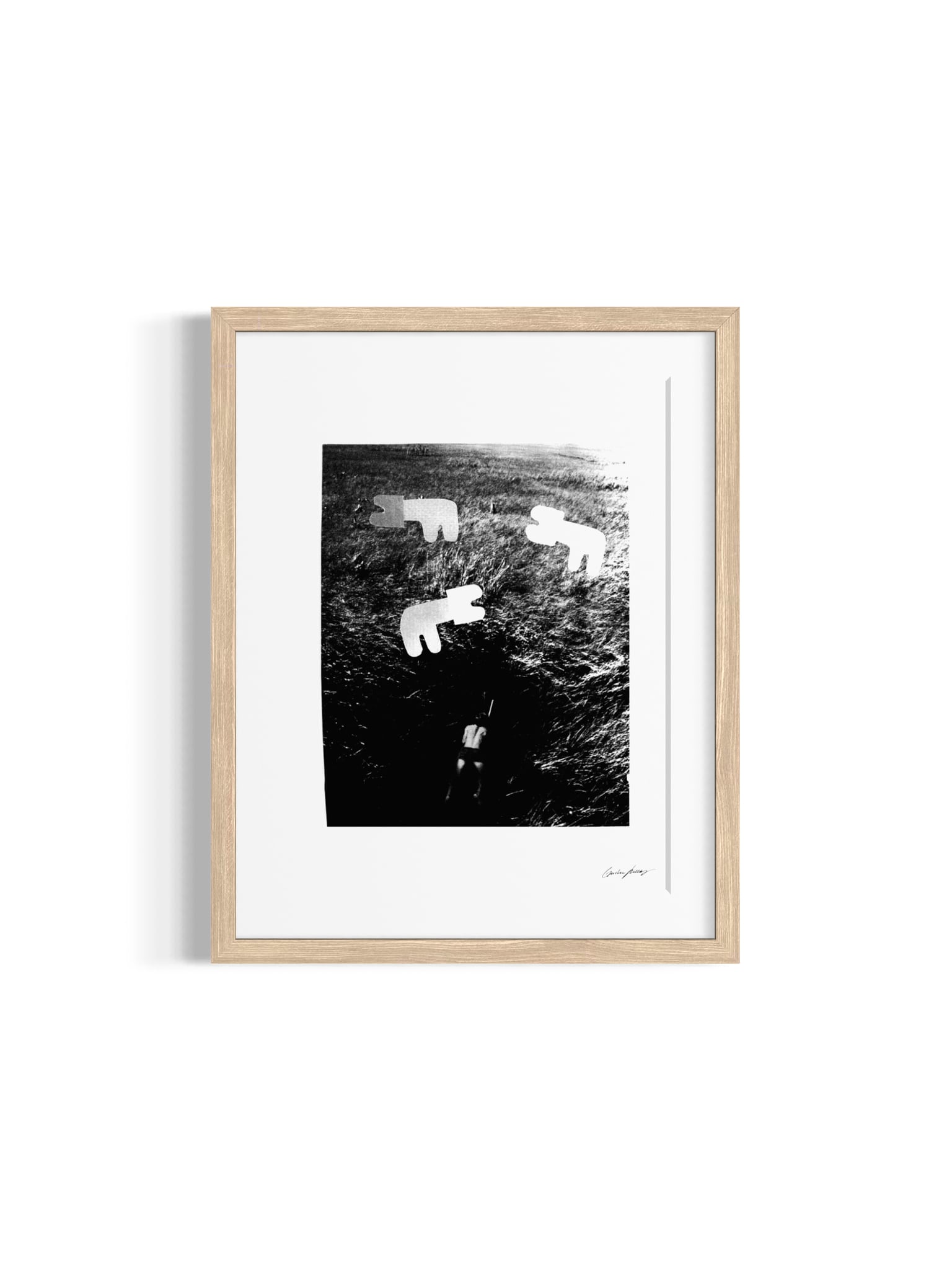 Image at position 1