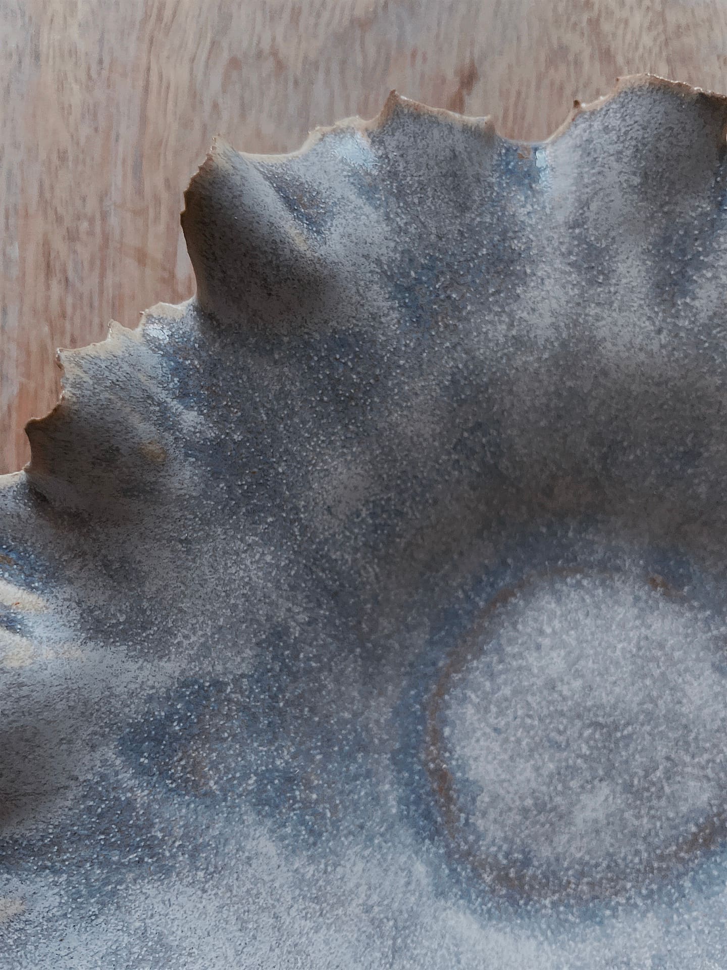 Image at position 2