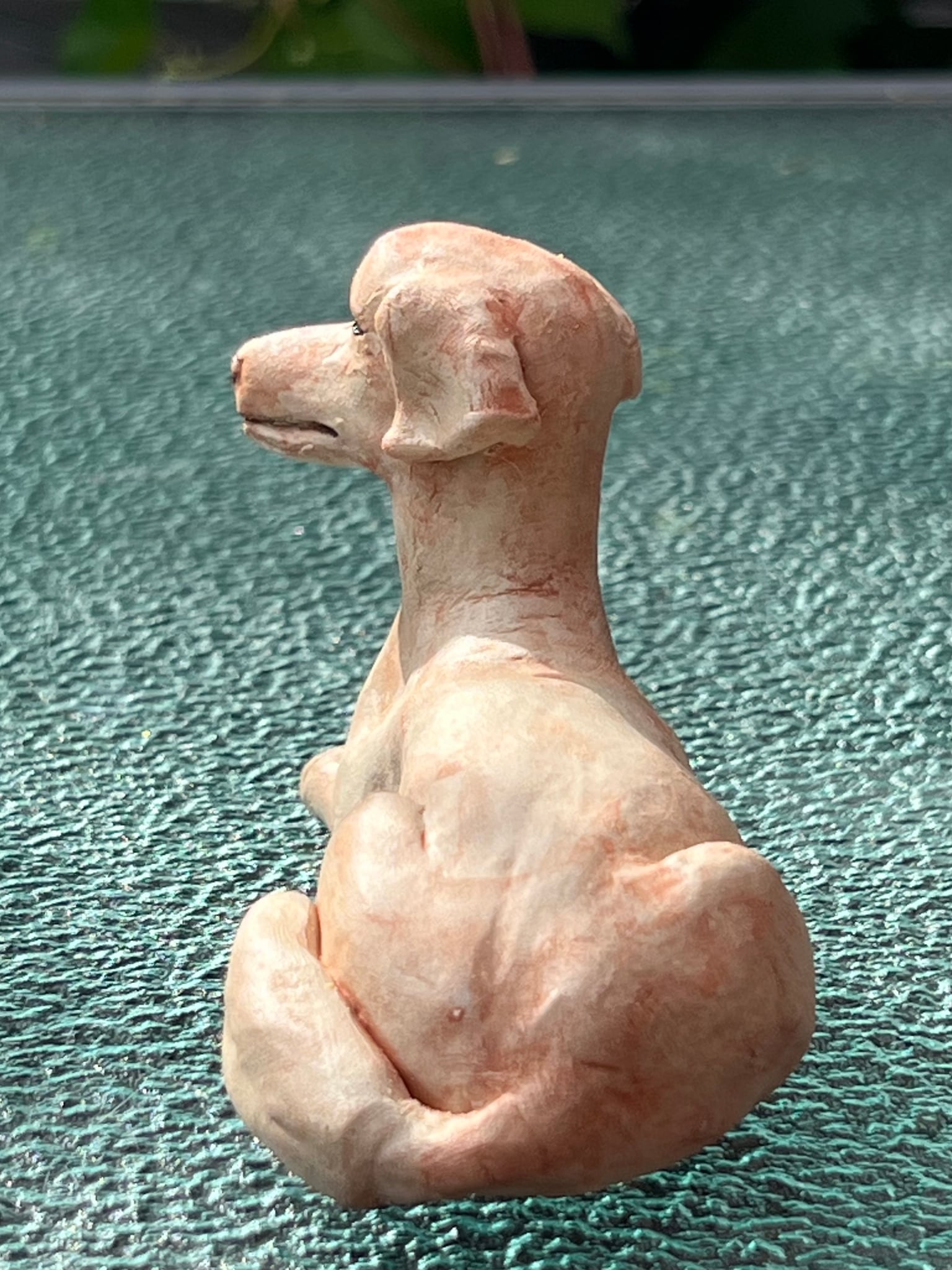Image at position 5