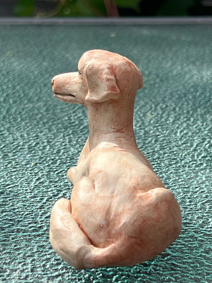 Image at position 5