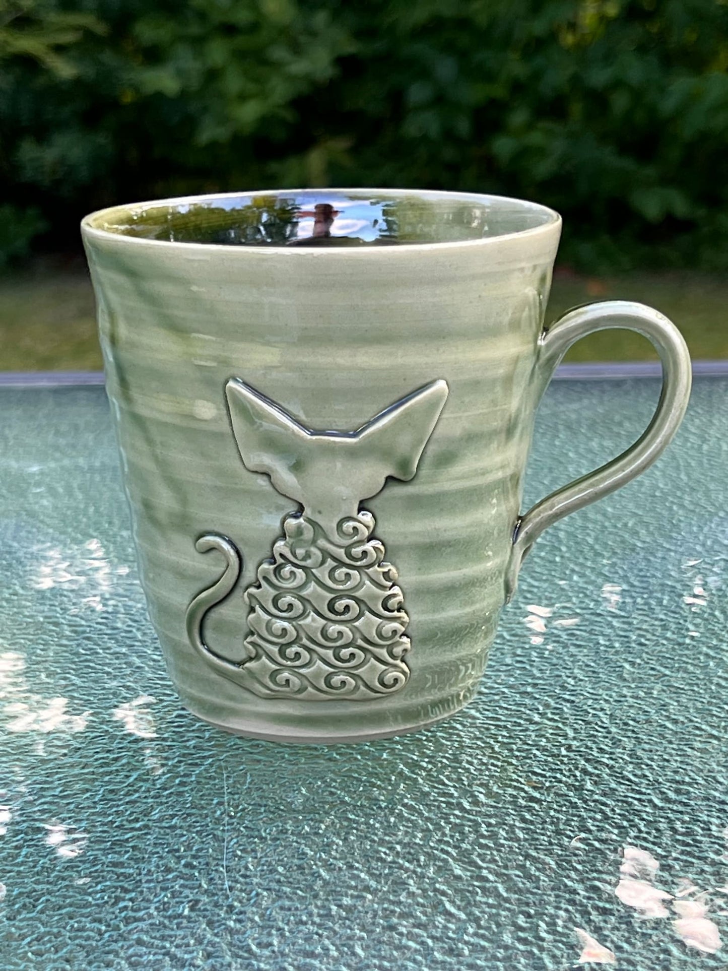 Devon Rex kop