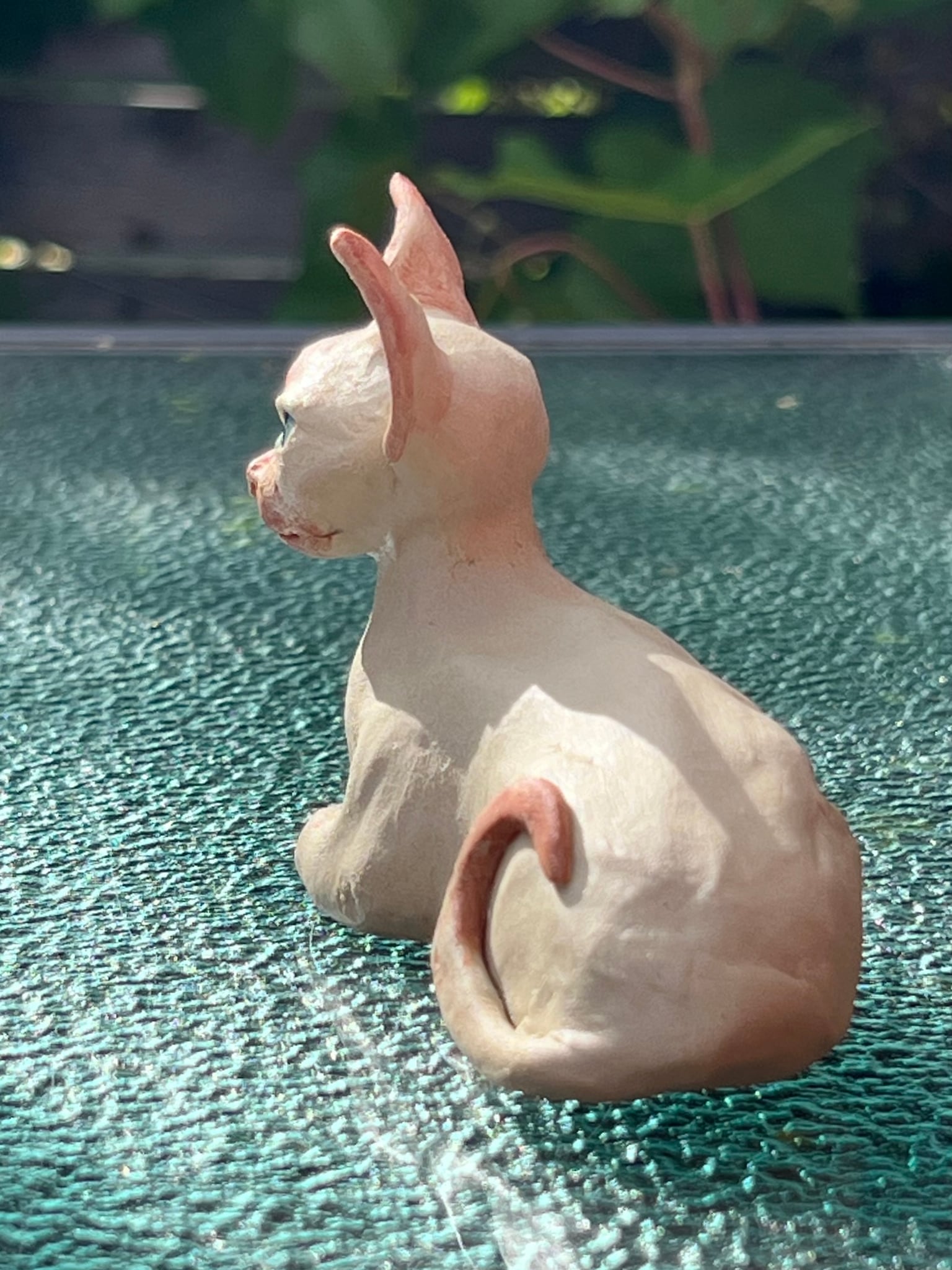 Image at position 5