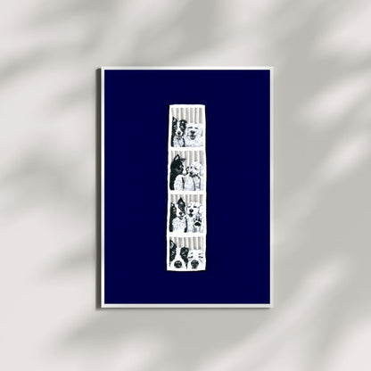 Image at position 2